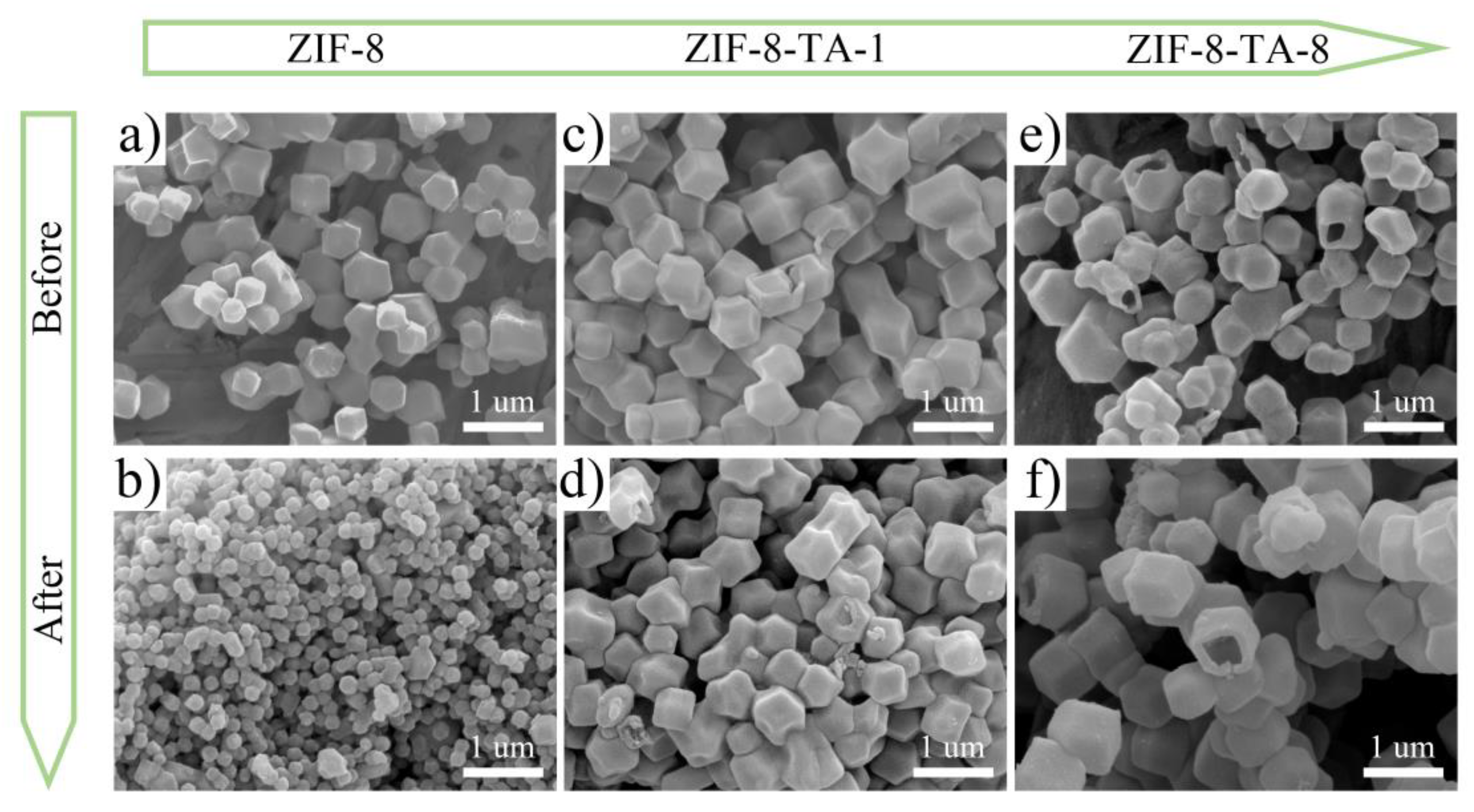 Preprints 154373 g003