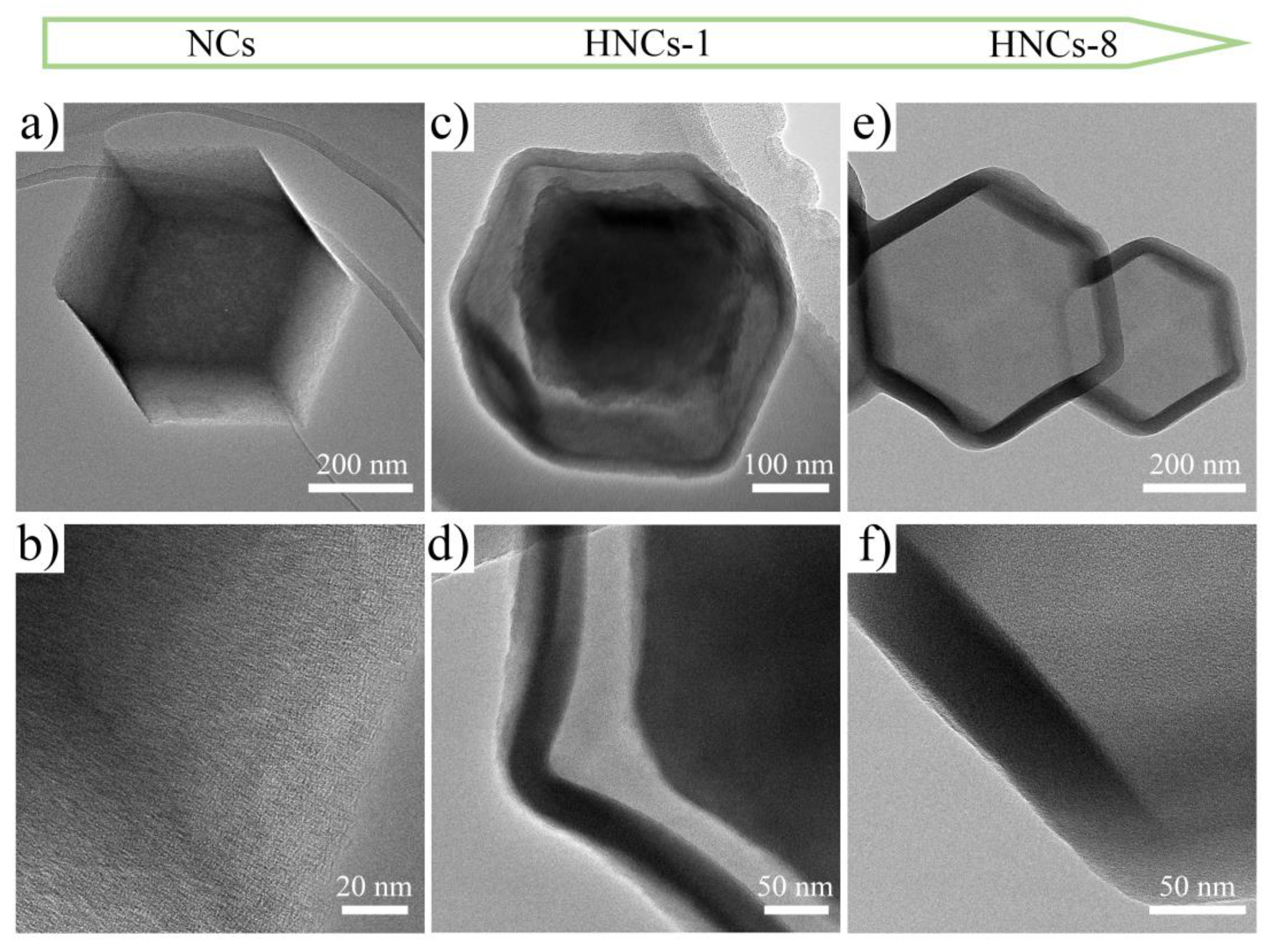 Preprints 154373 g004