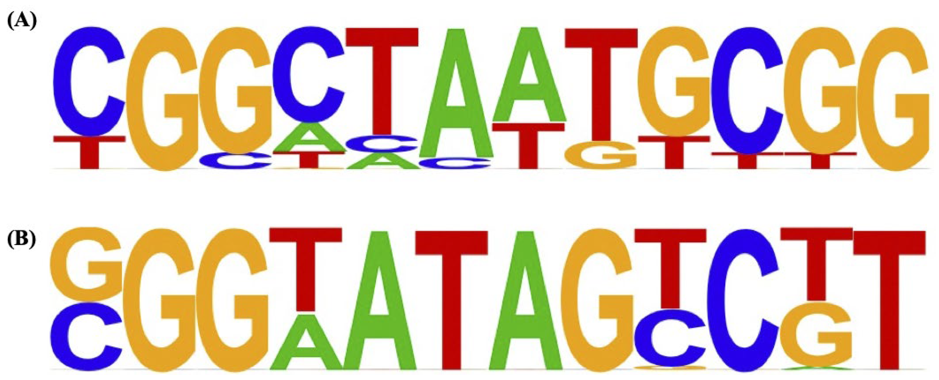 Preprints 95557 g001