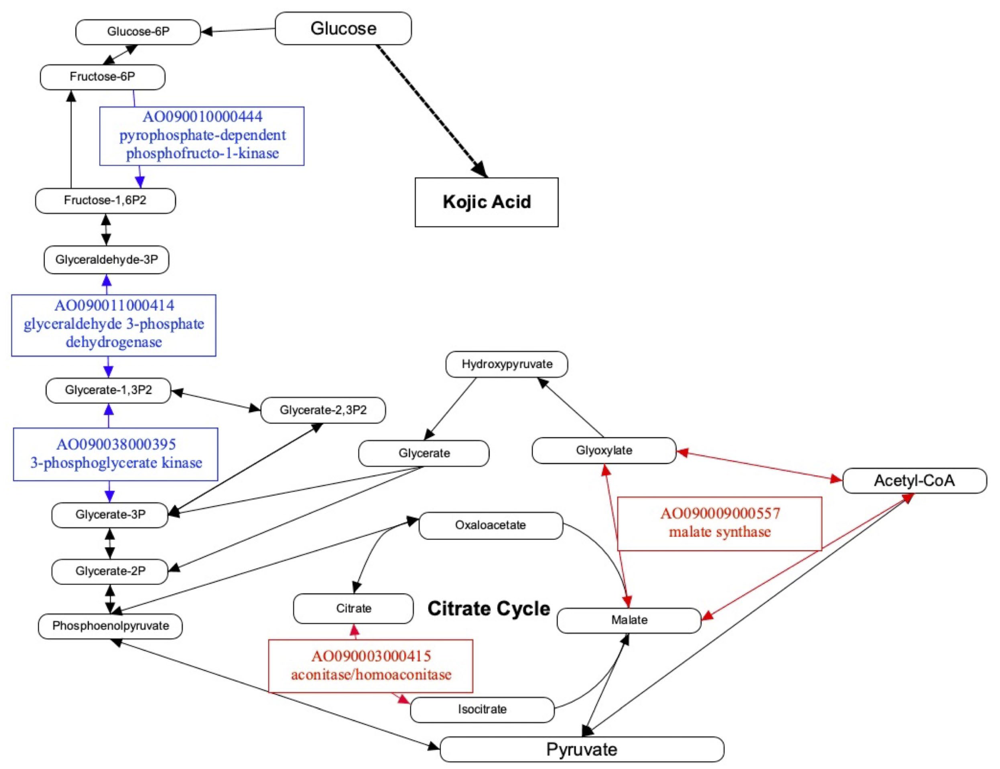 Preprints 95557 g004