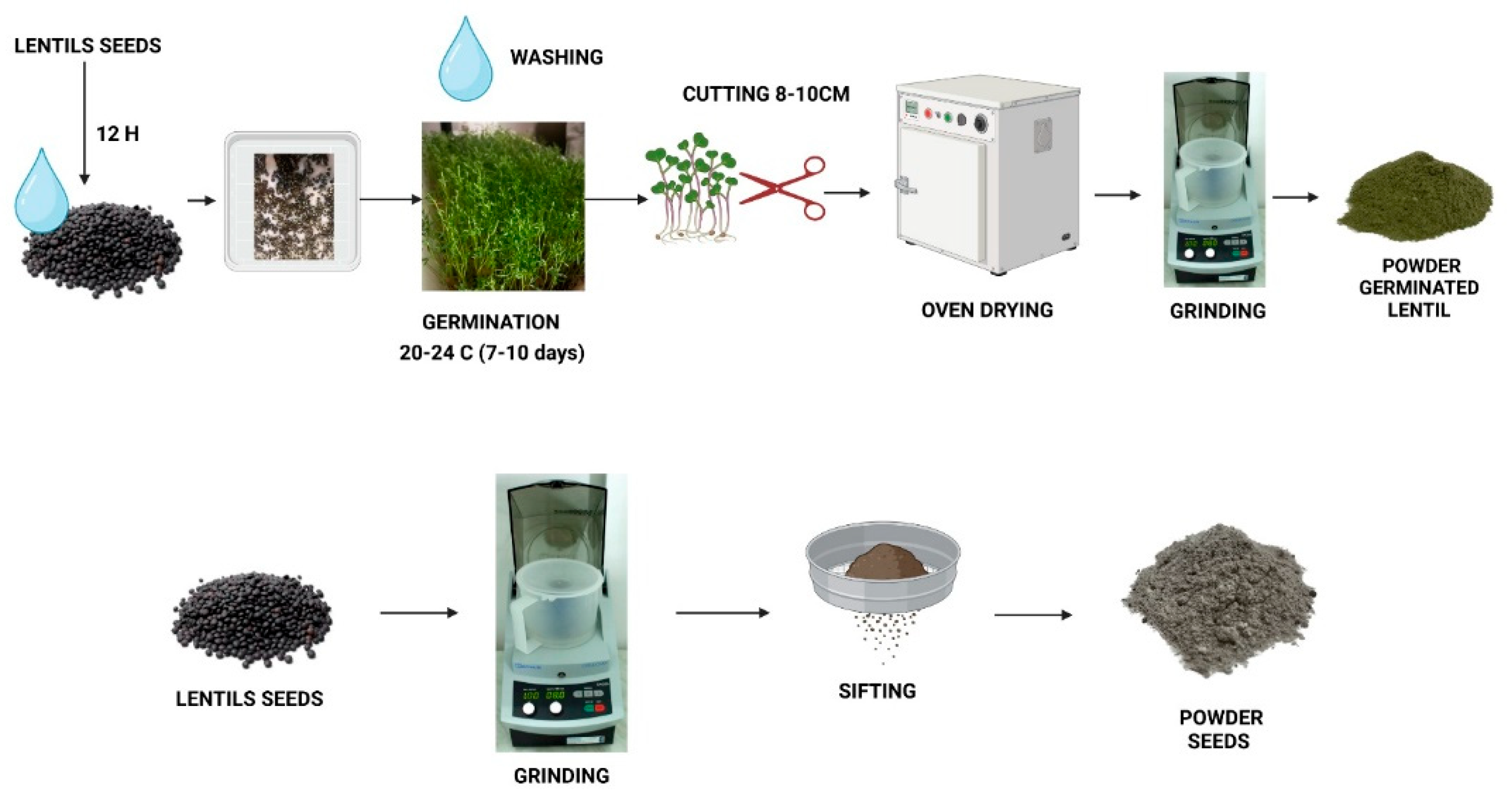 Preprints 197676 g001