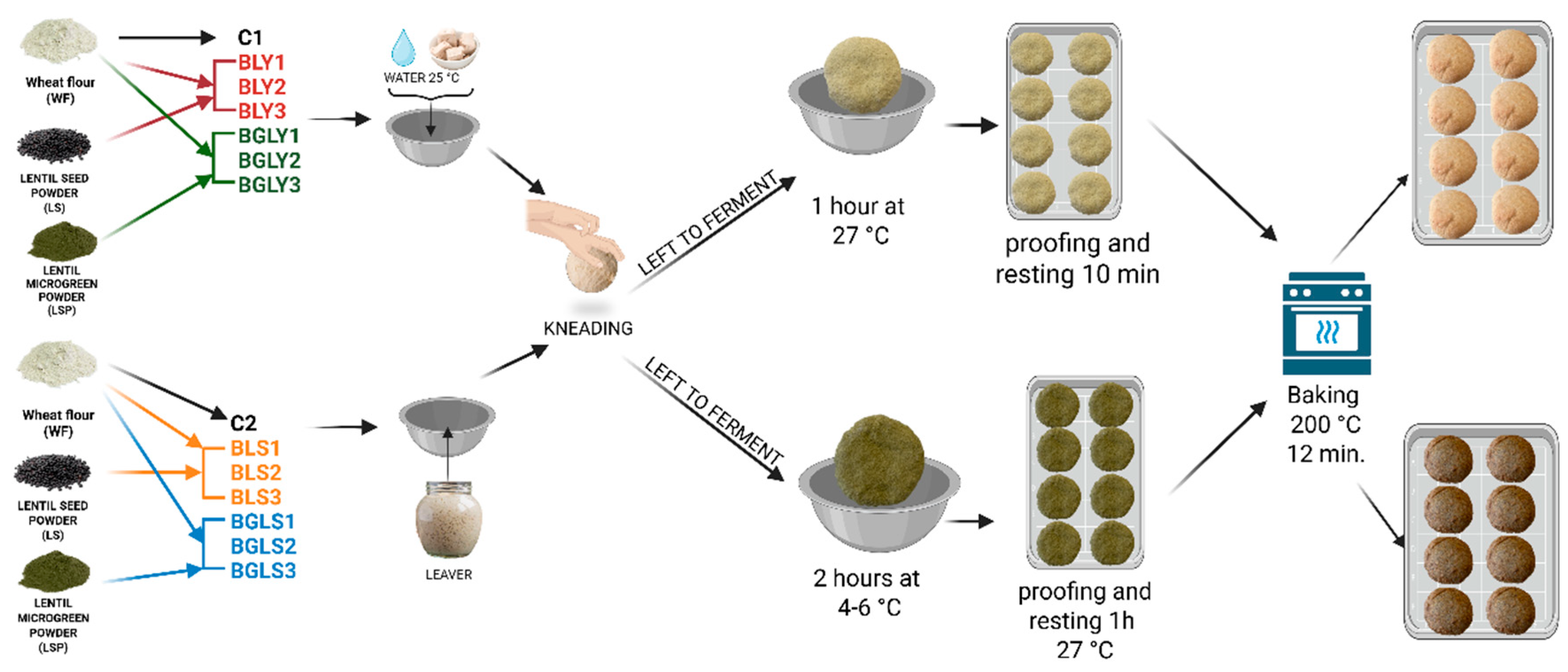 Preprints 197676 g002