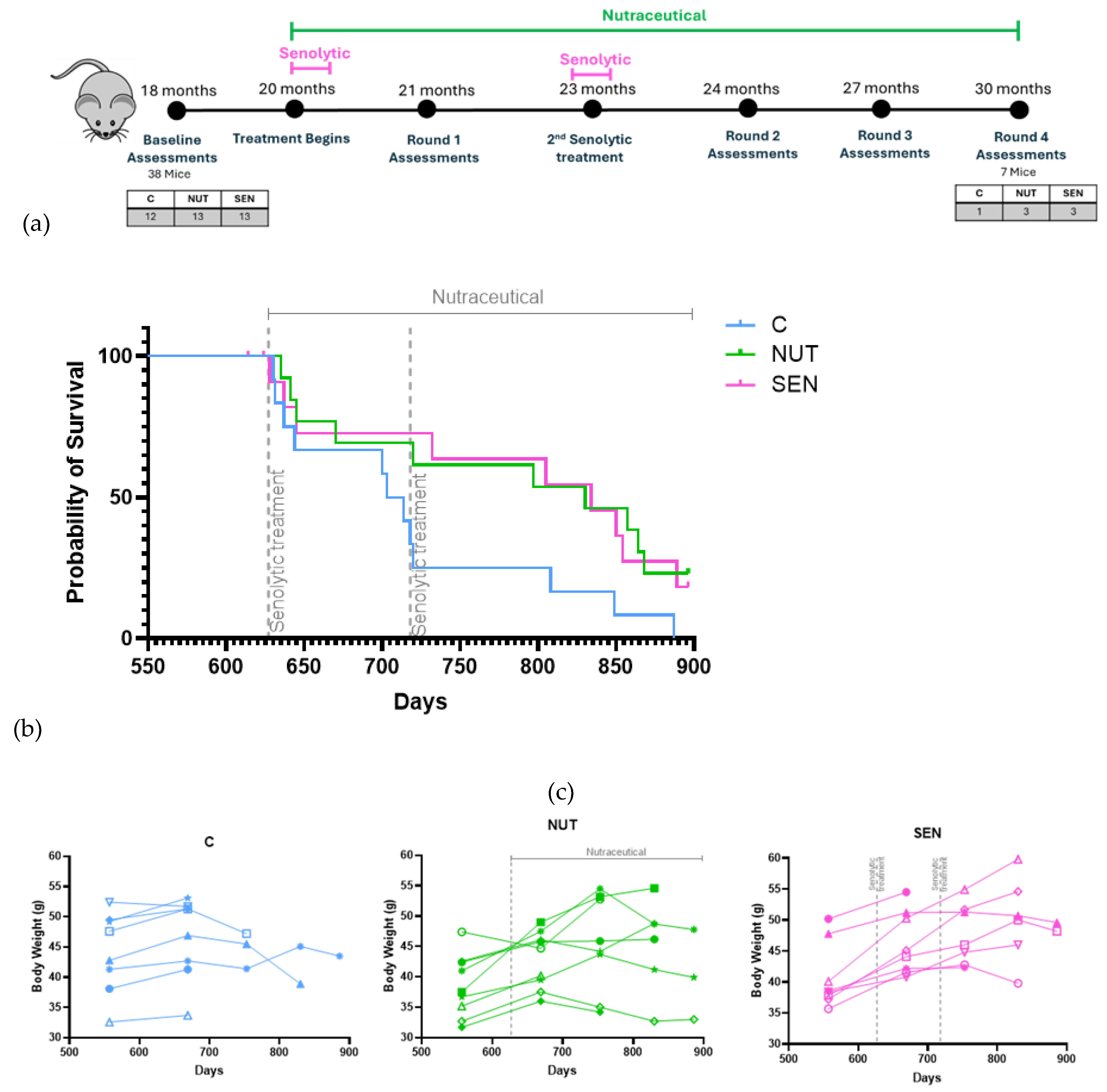 Preprints 192169 g001