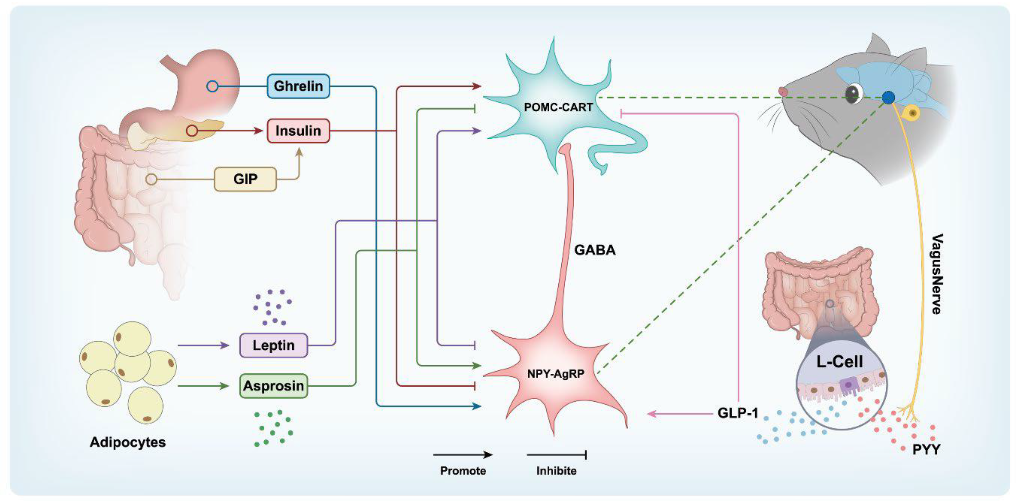 Preprints 155354 g001