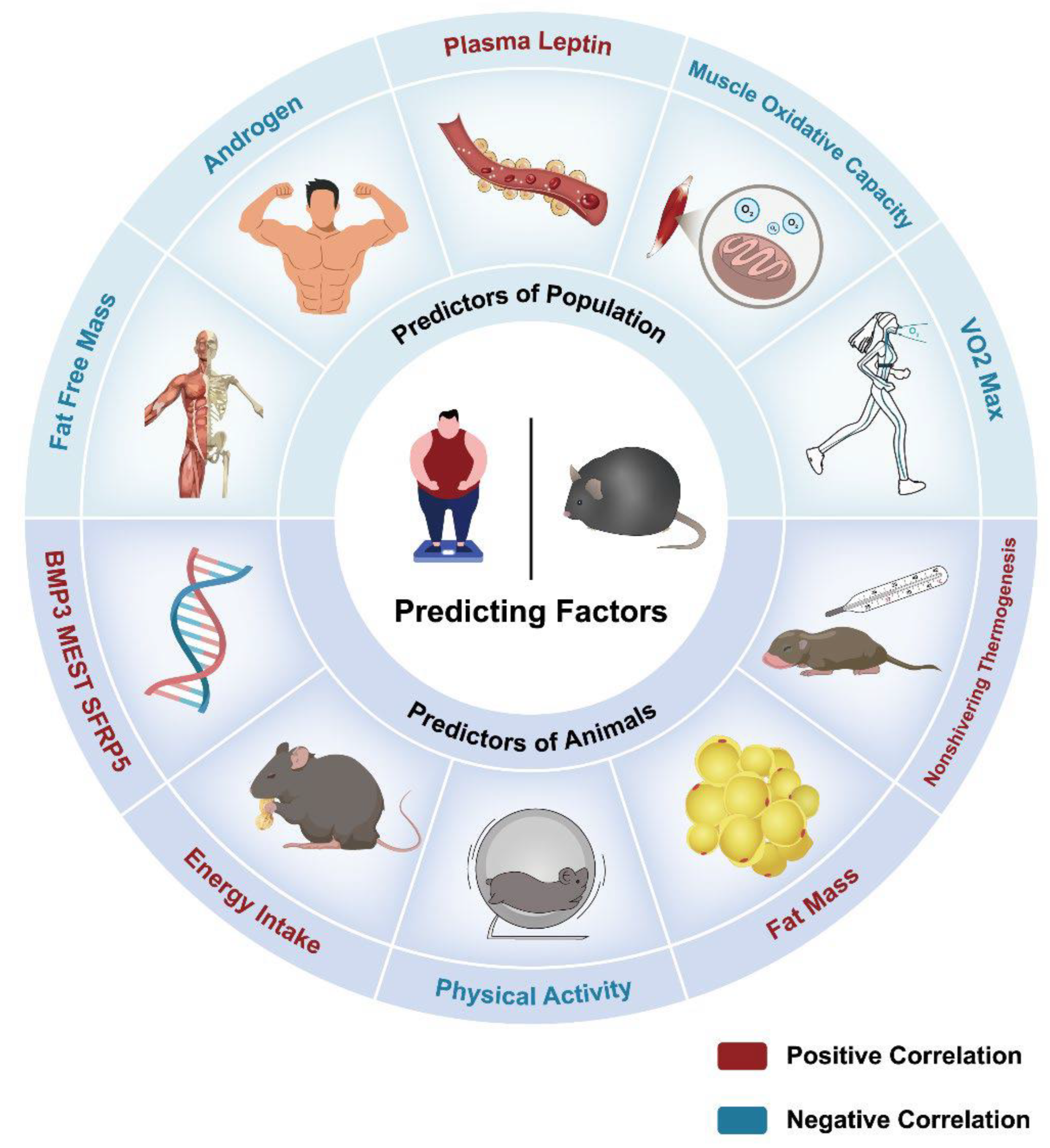 Preprints 155354 g003
