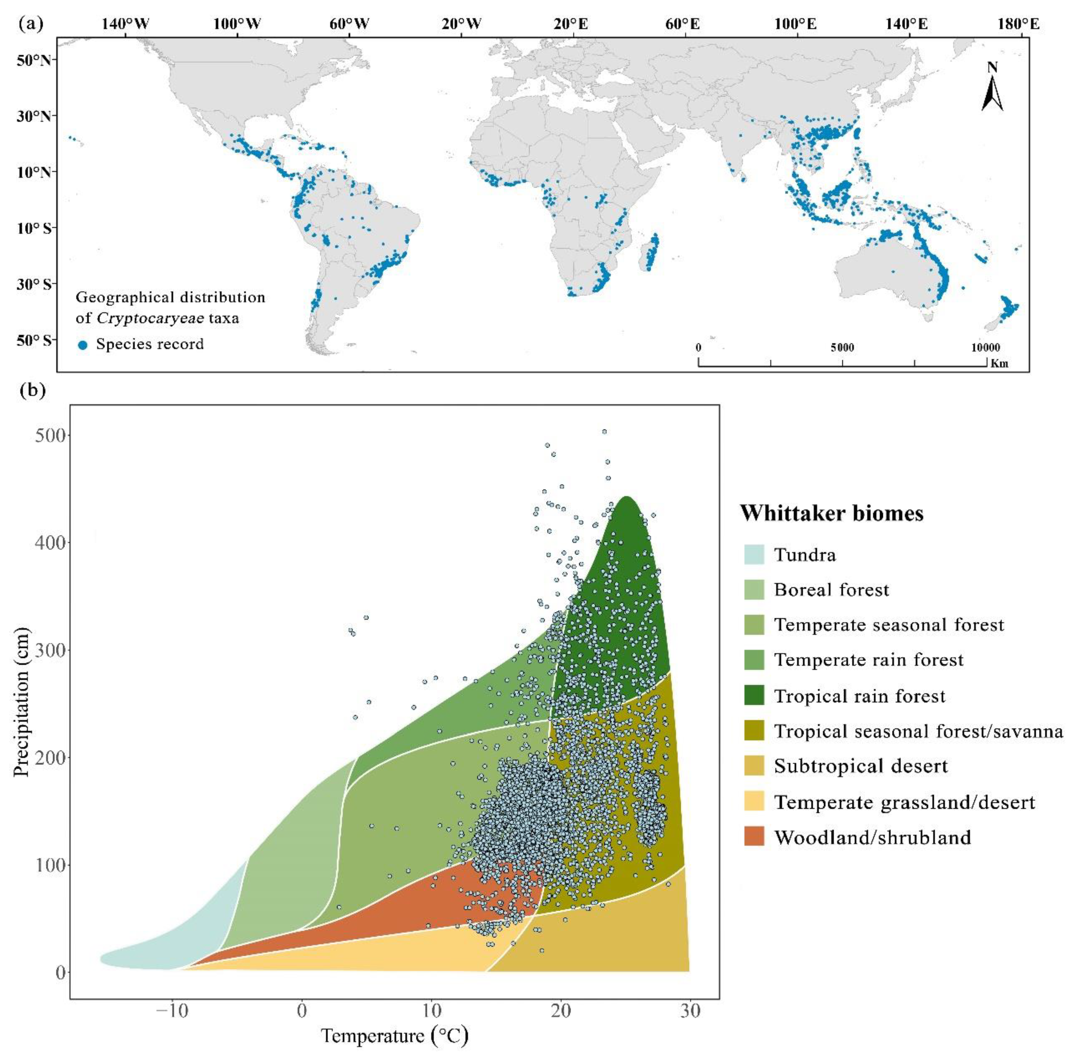 Preprints 163640 g001