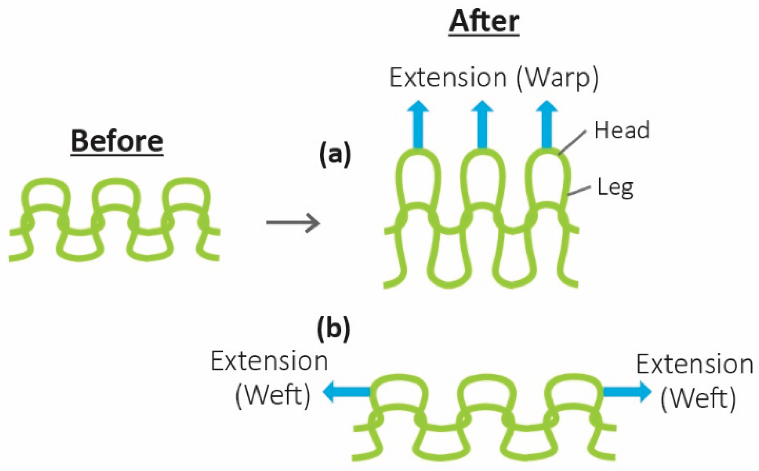 Preprints 200595 g003