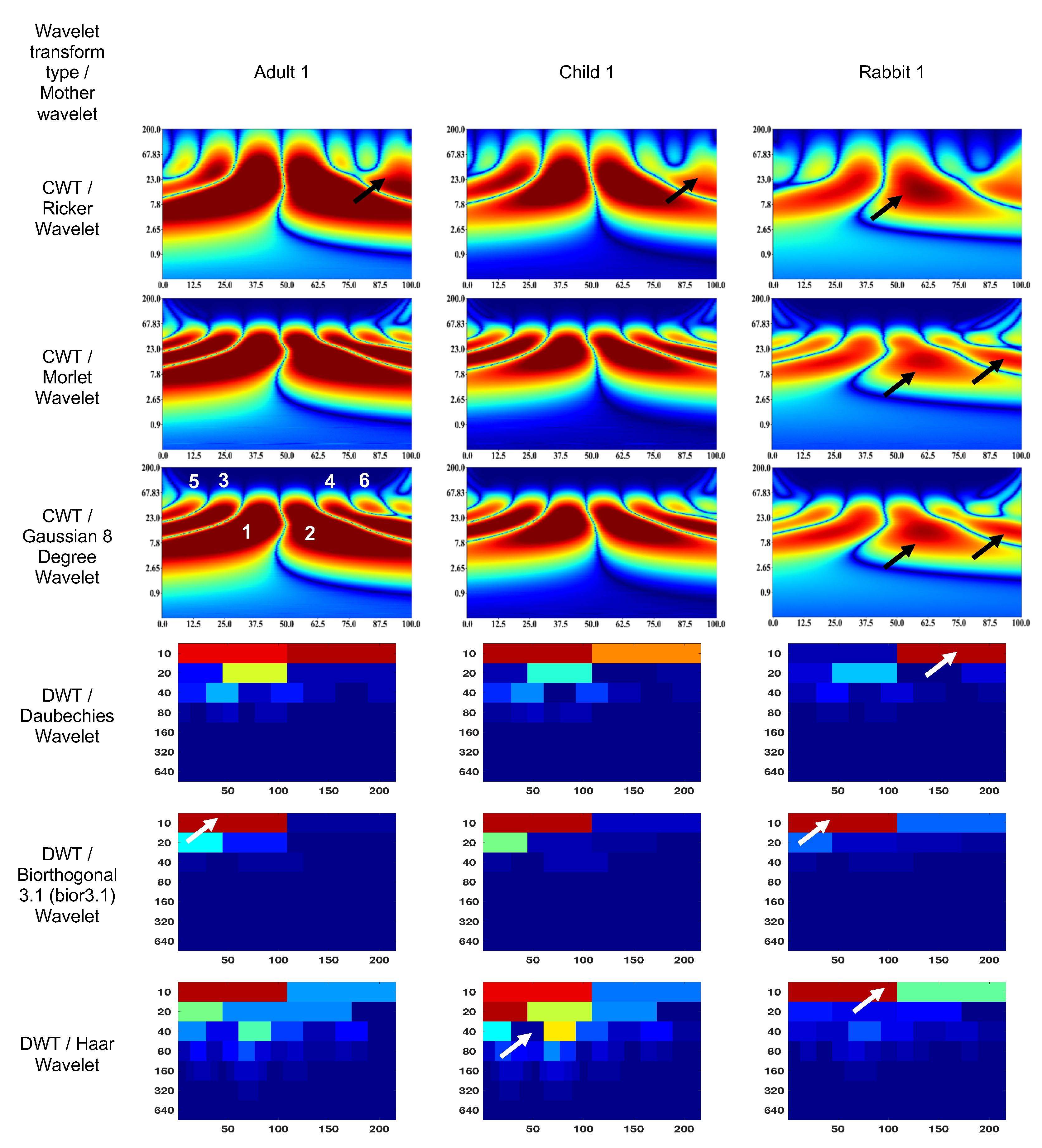 Preprints 70933 g003