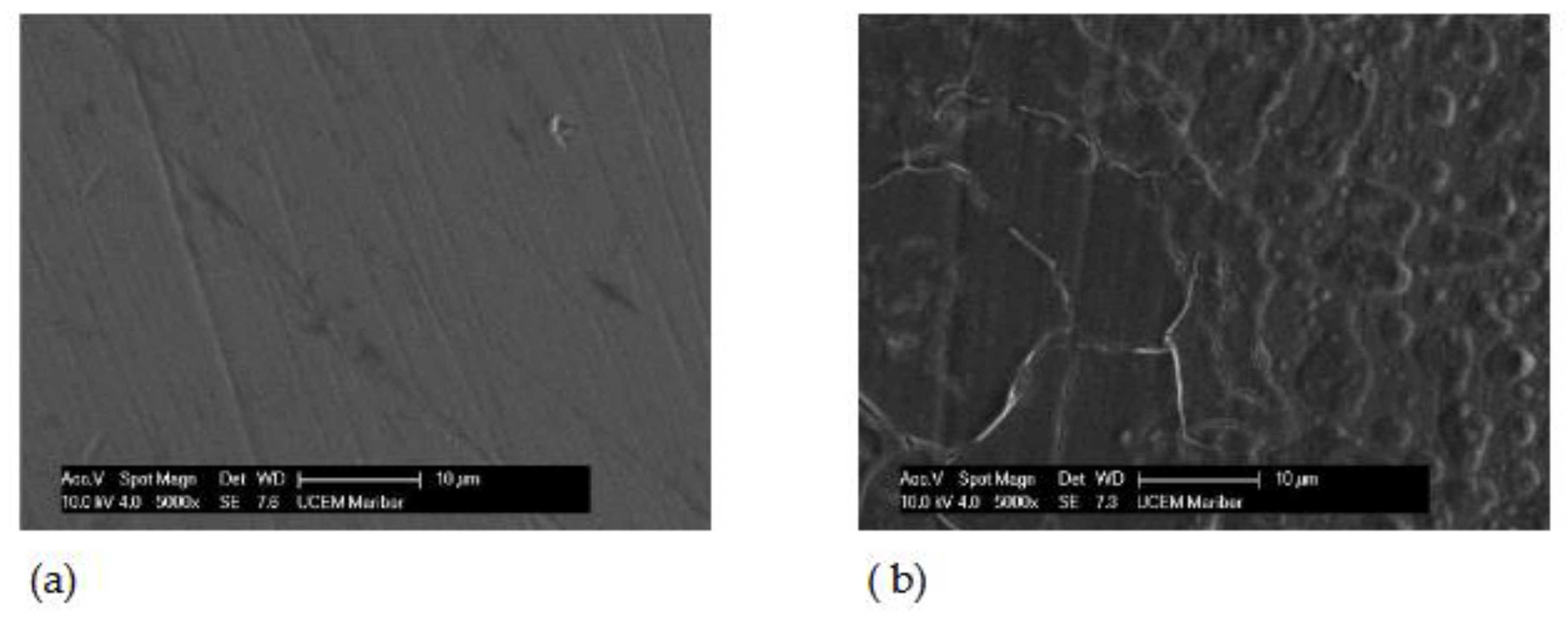 Preprints 152982 g003