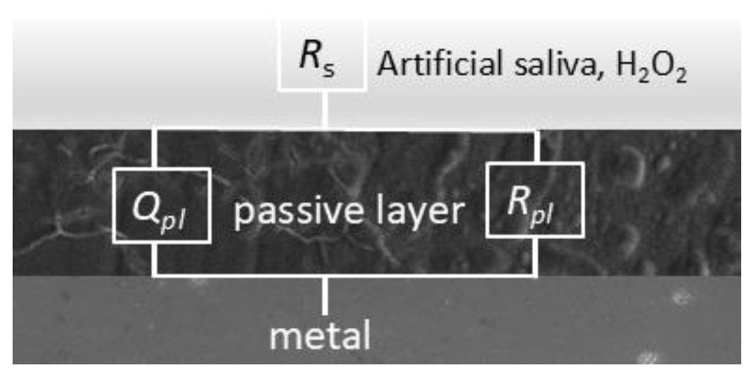 Preprints 152982 g007
