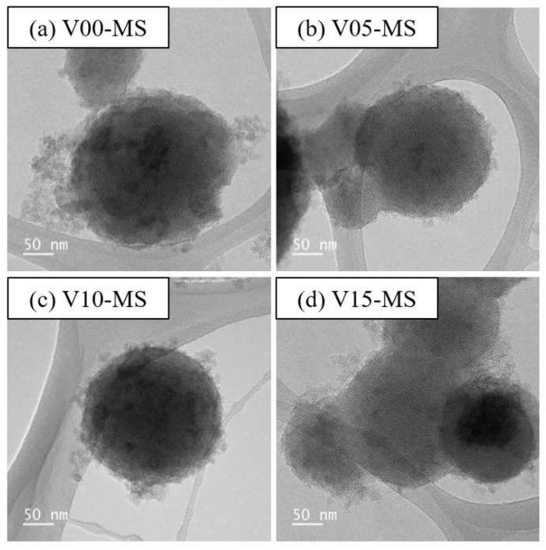Preprints 88689 g001