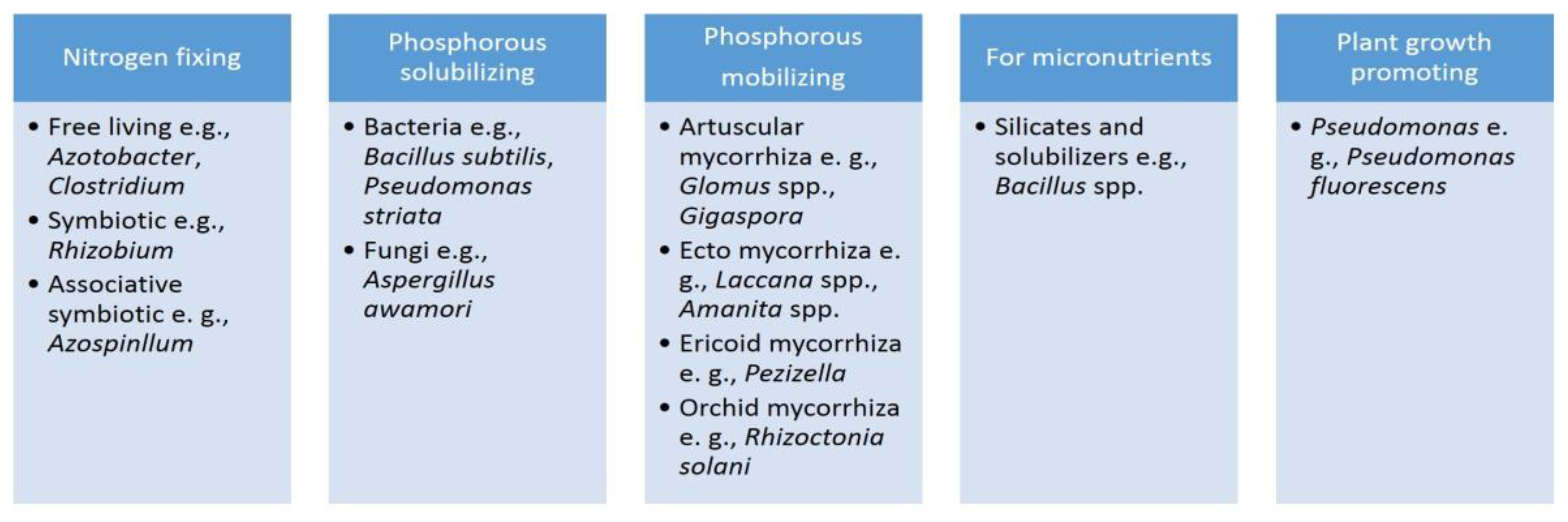 Preprints 165628 g001