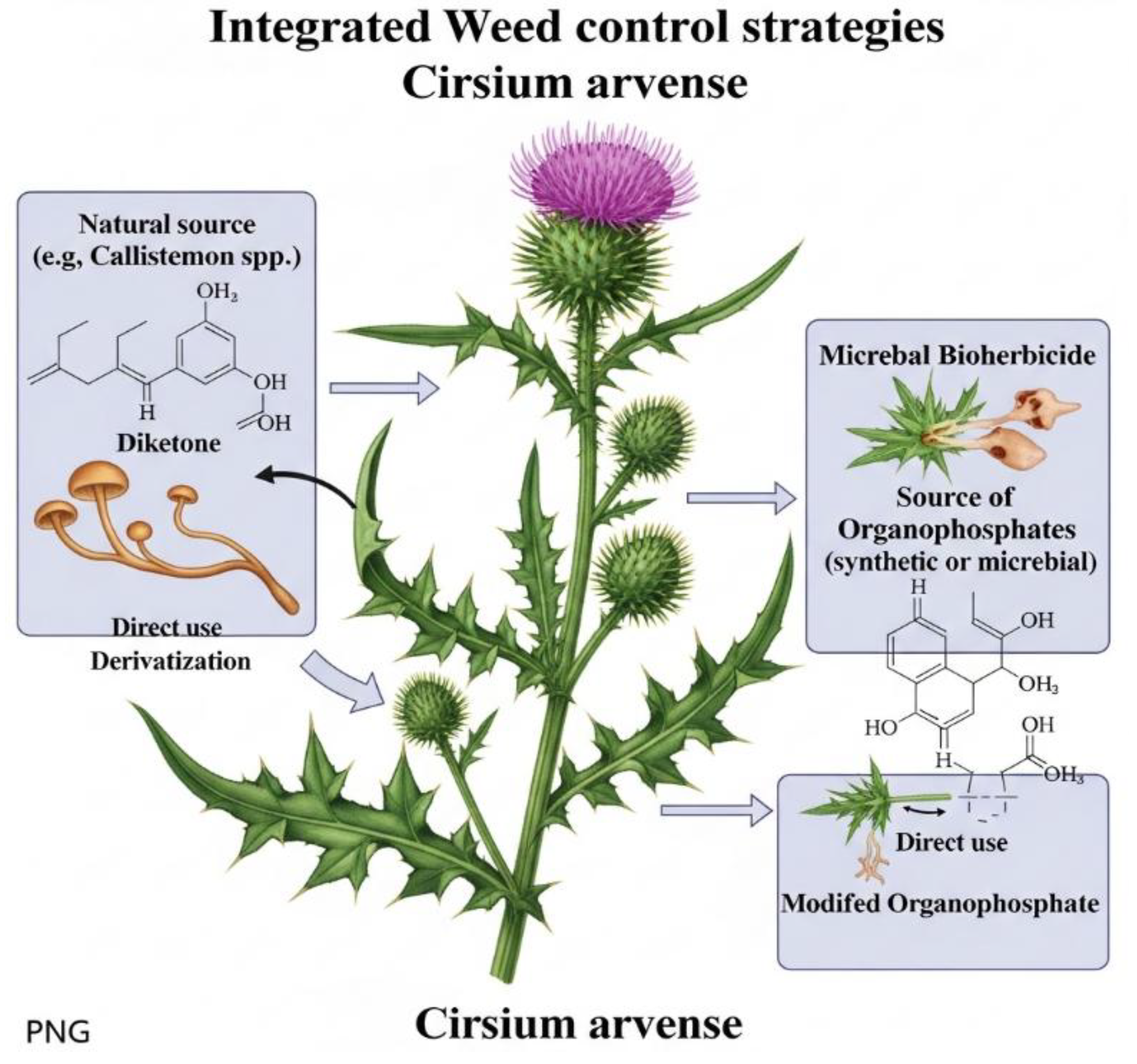 Preprints 165628 g002