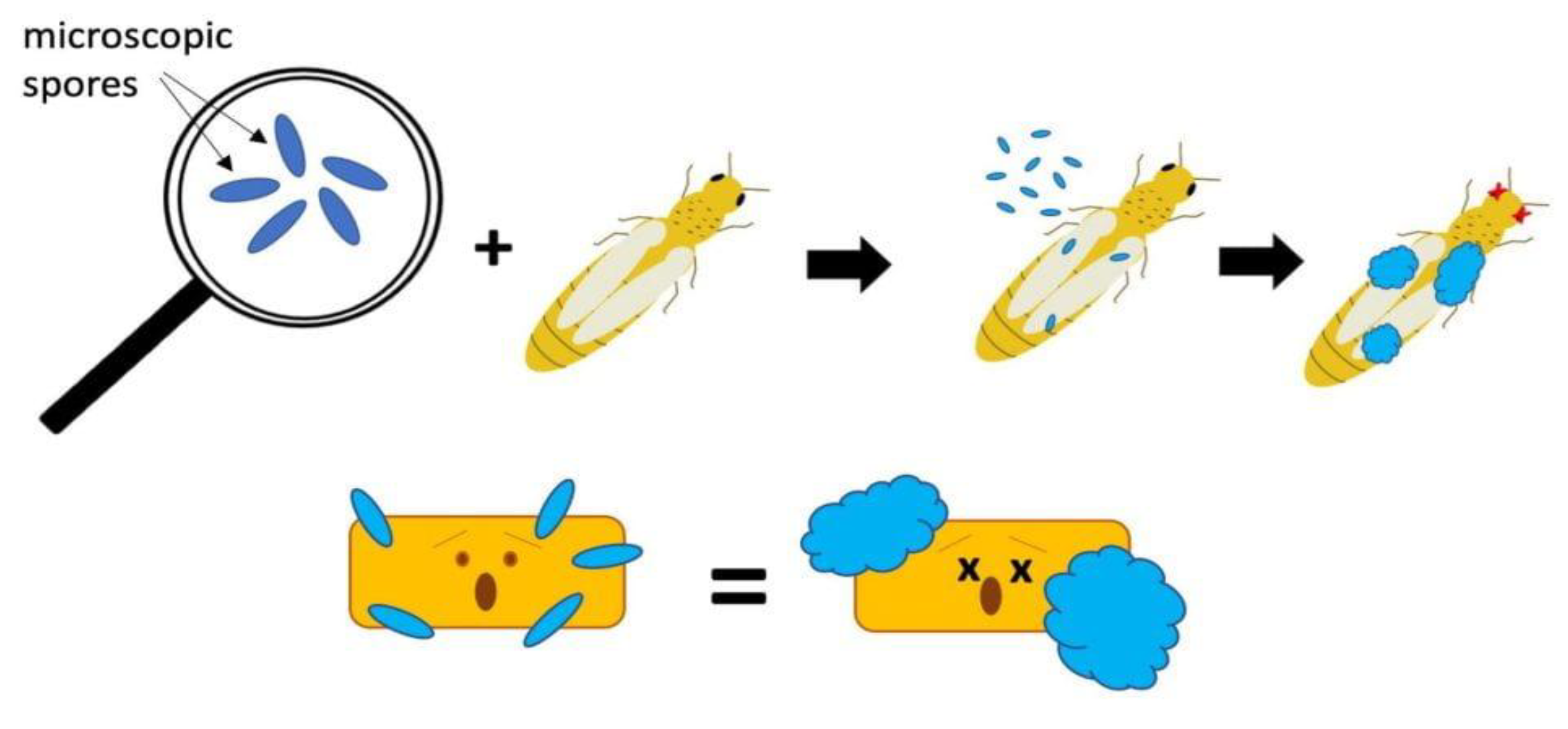 Preprints 165628 g004
