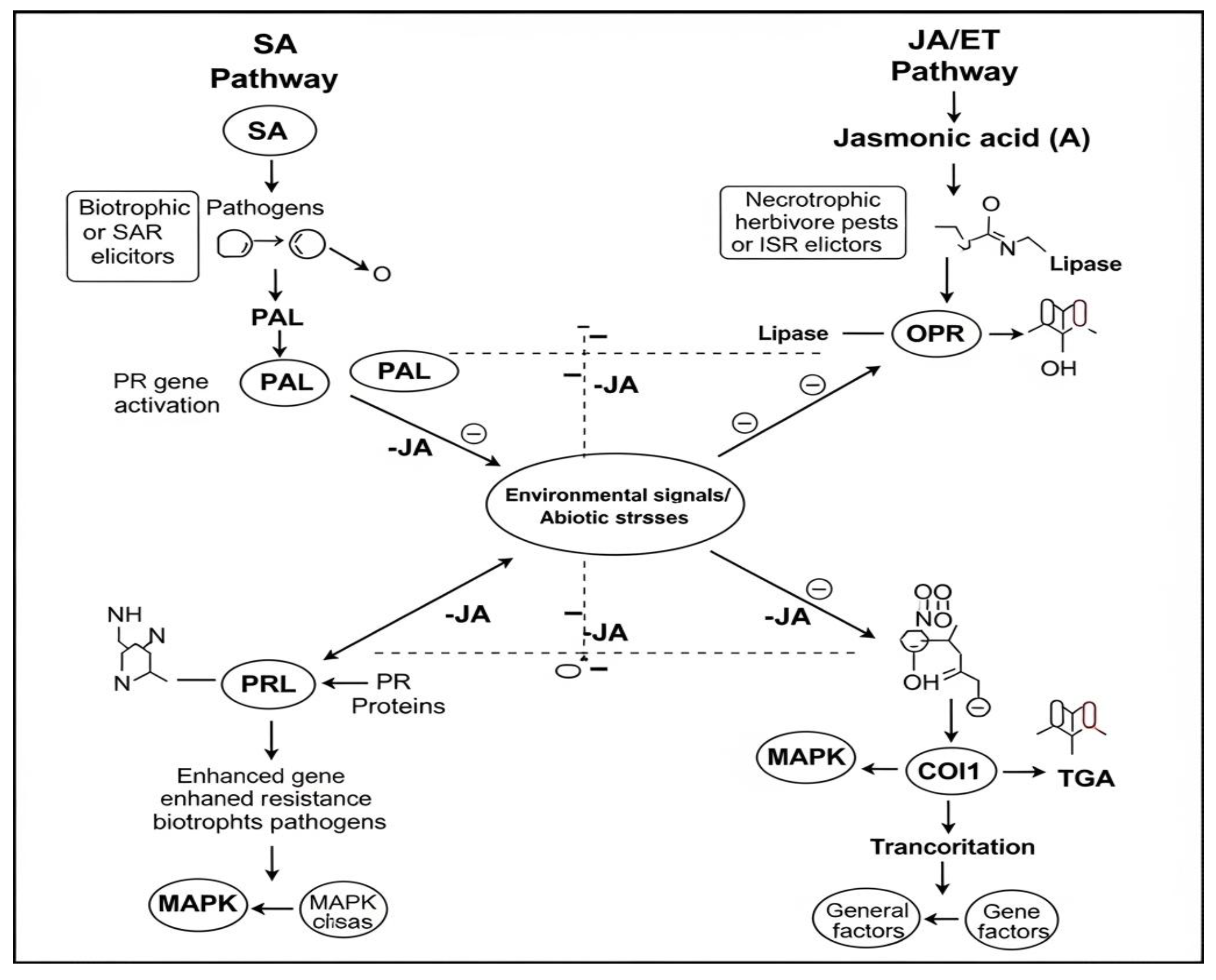 Preprints 165628 g006