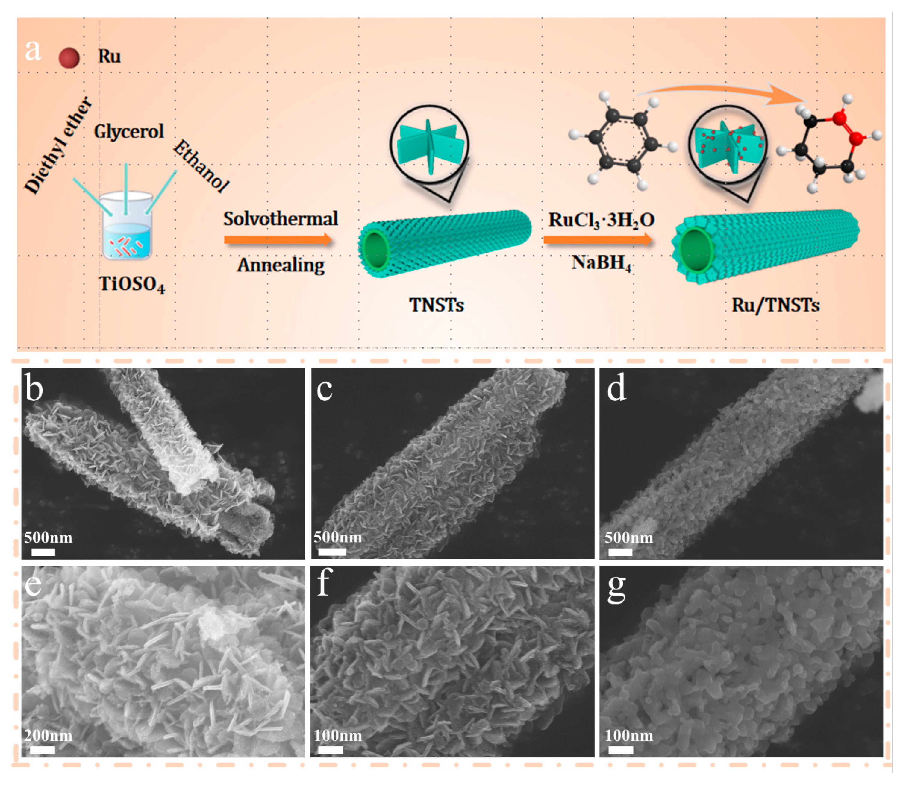 Preprints 92956 g001