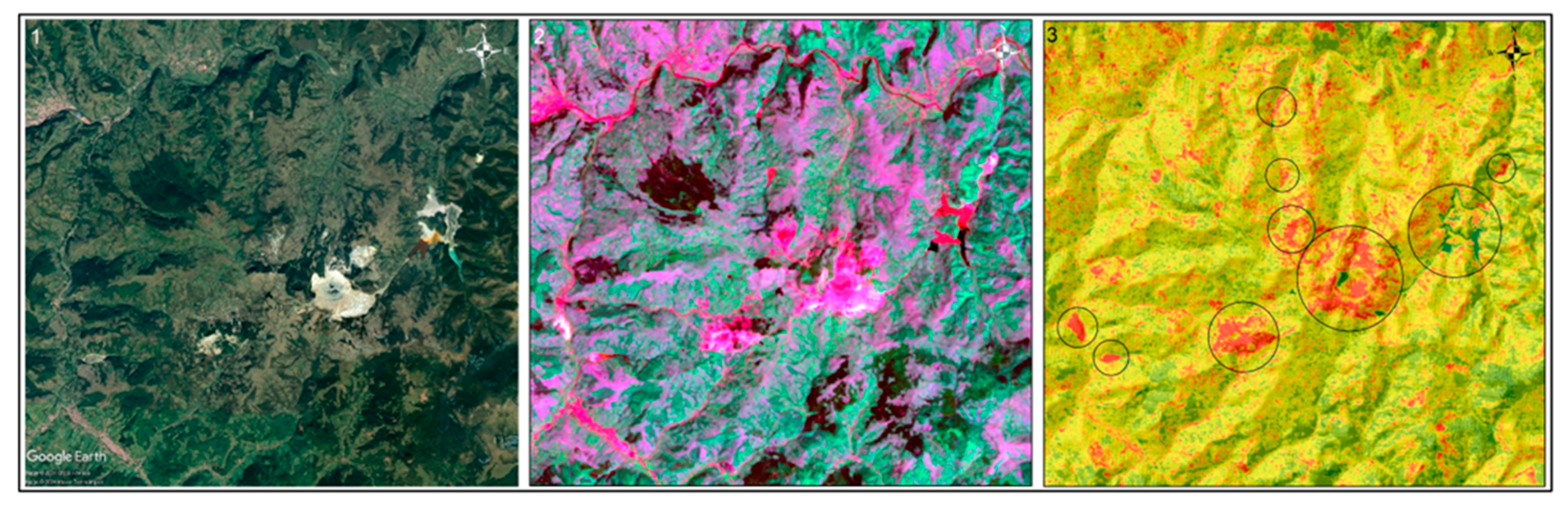 Preprints 104204 g002