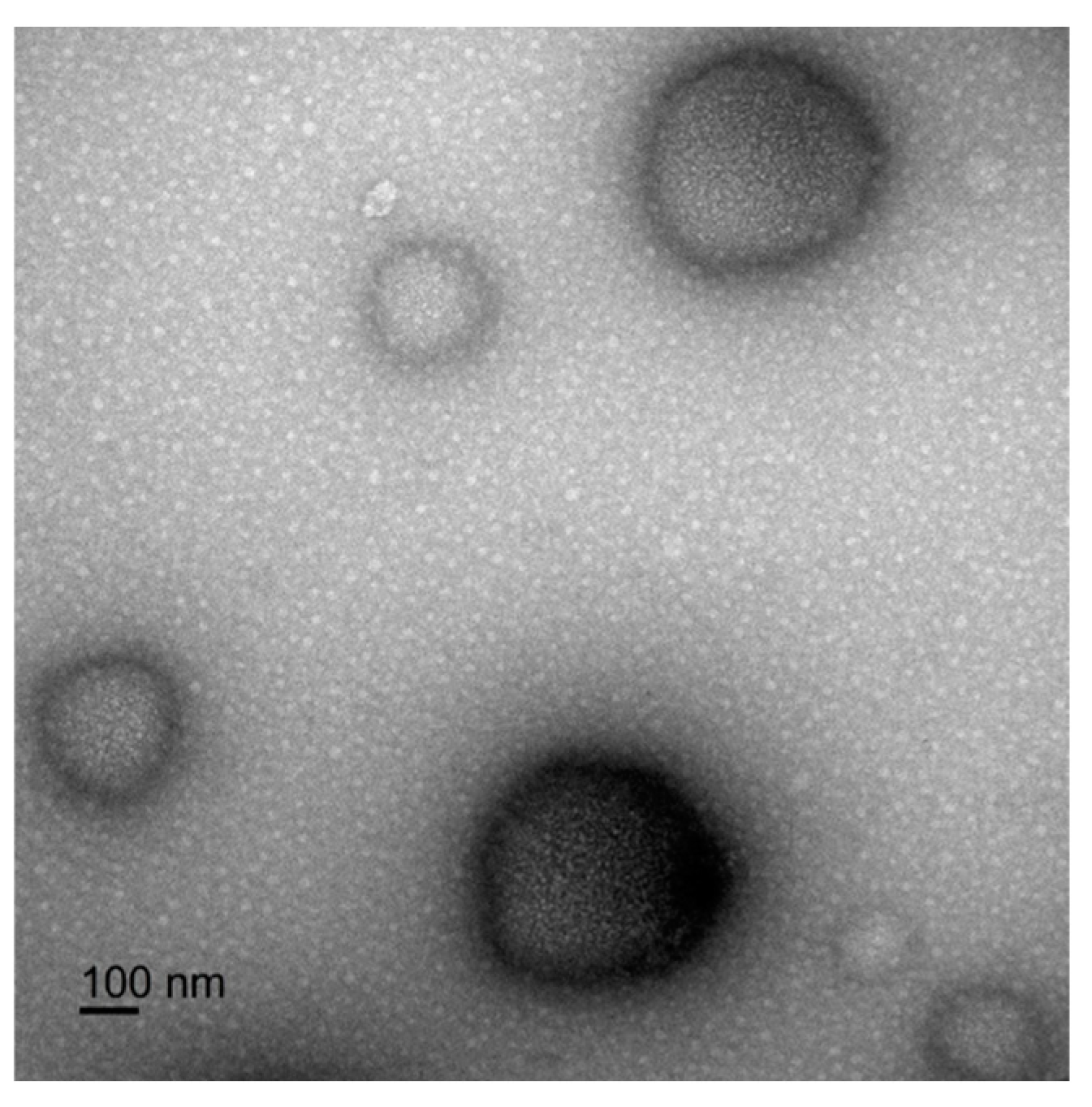 Preprints 140228 g010