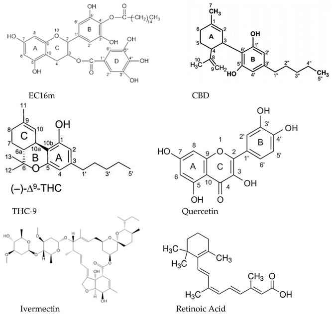 Preprints 140228 i001