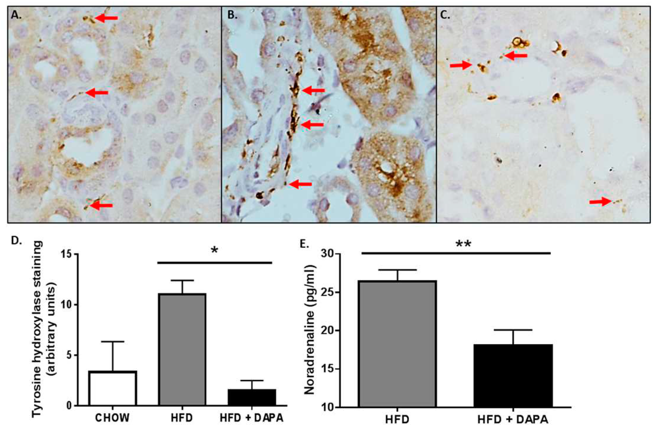Preprints 82772 g002