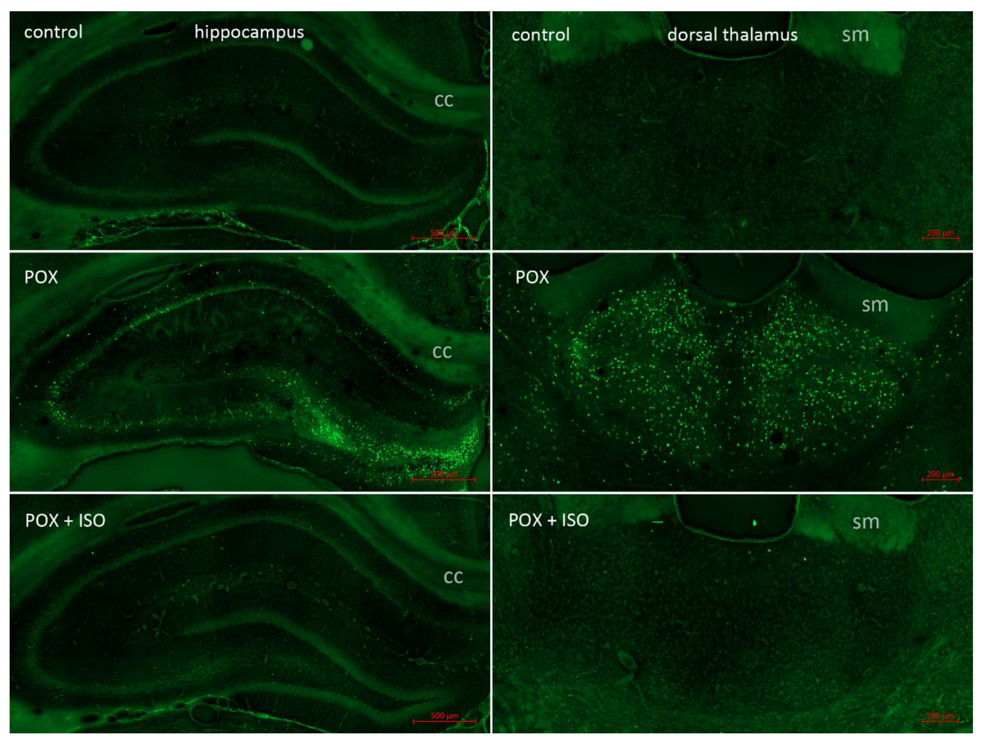 Preprints 163176 g001