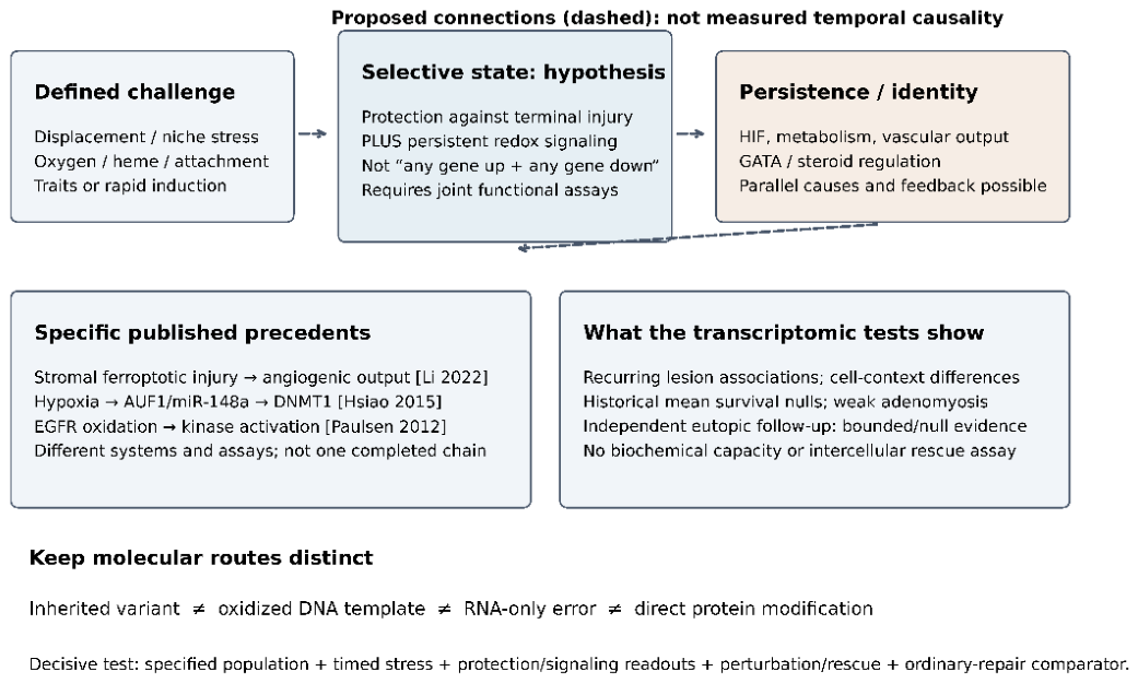 Preprints 233905 g004 Preprints 233905 g004