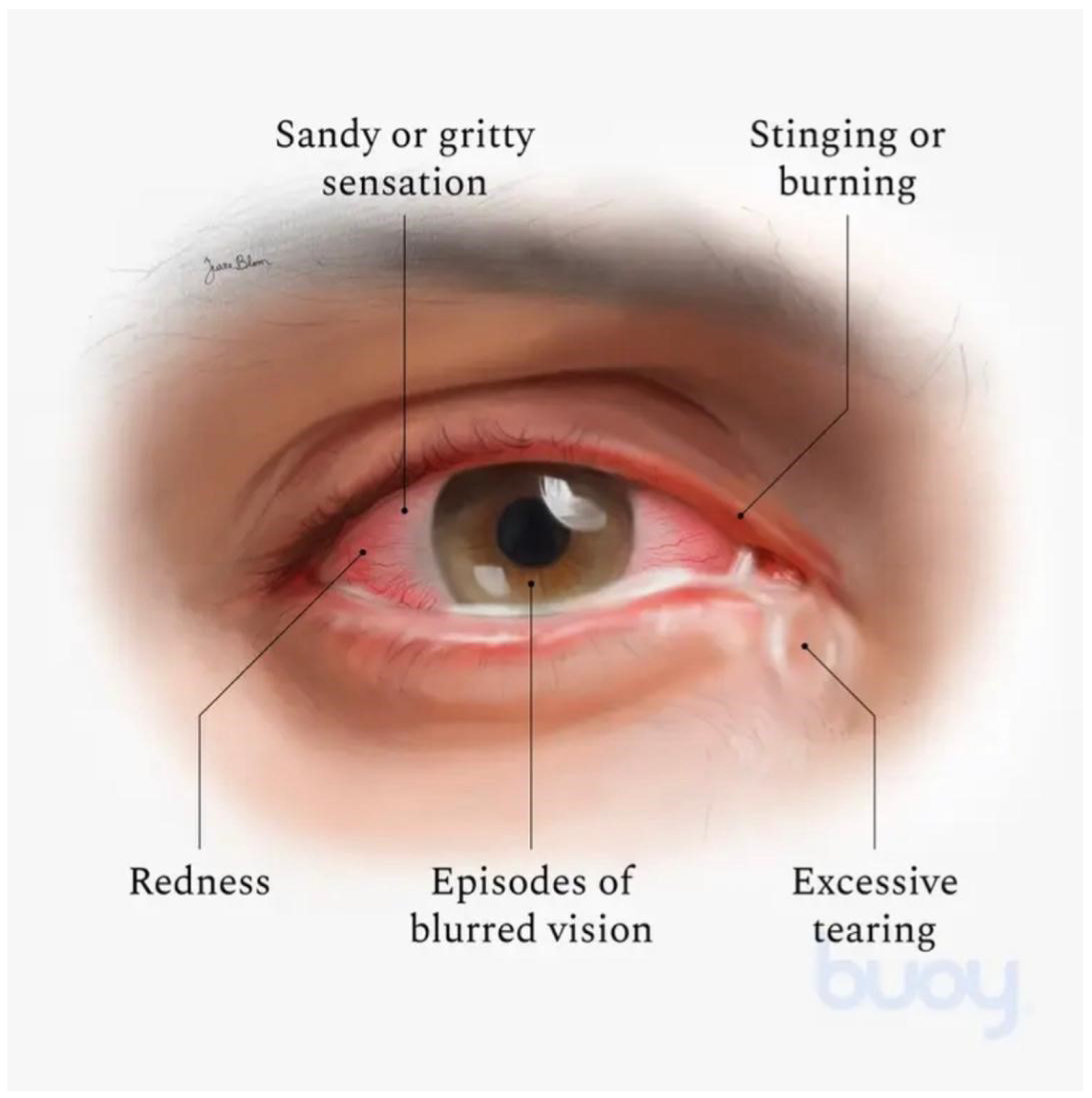 Preprints 158614 g001