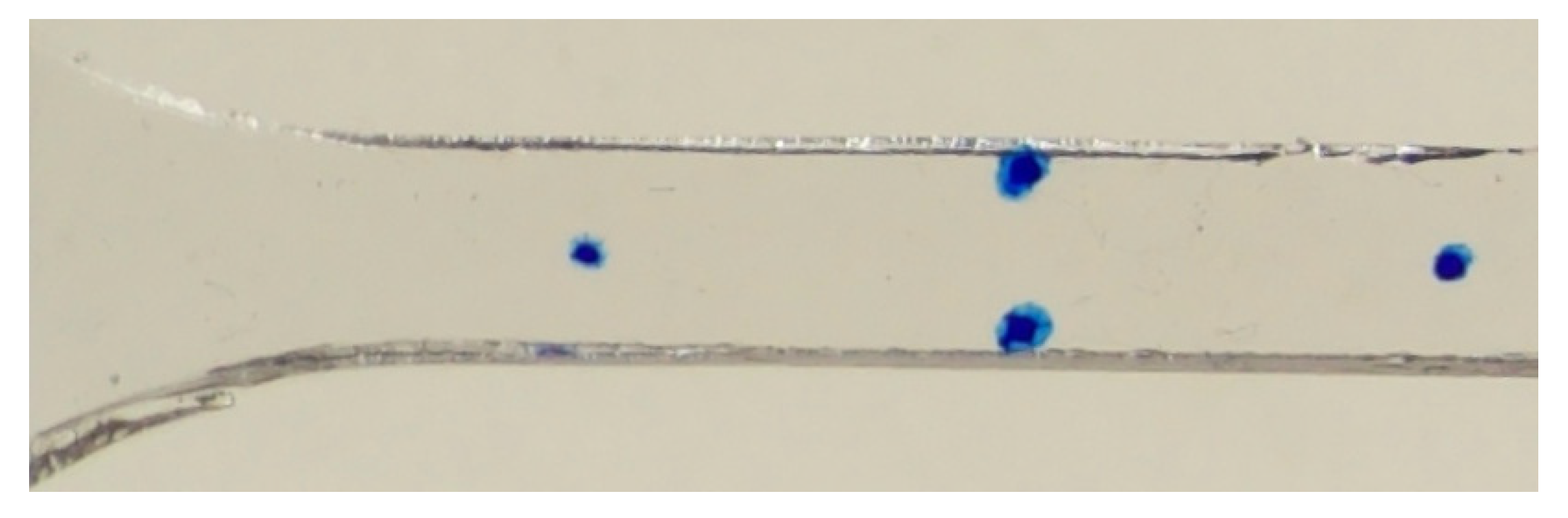 Preprints 176037 g003