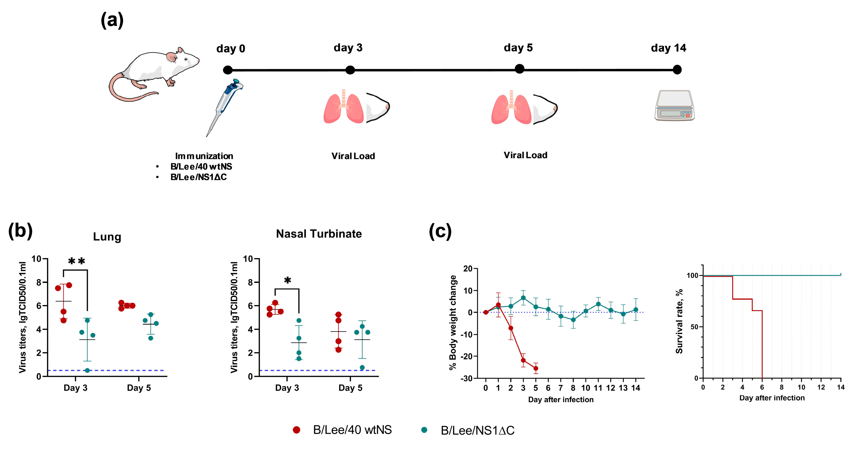 Preprints 189257 g001
