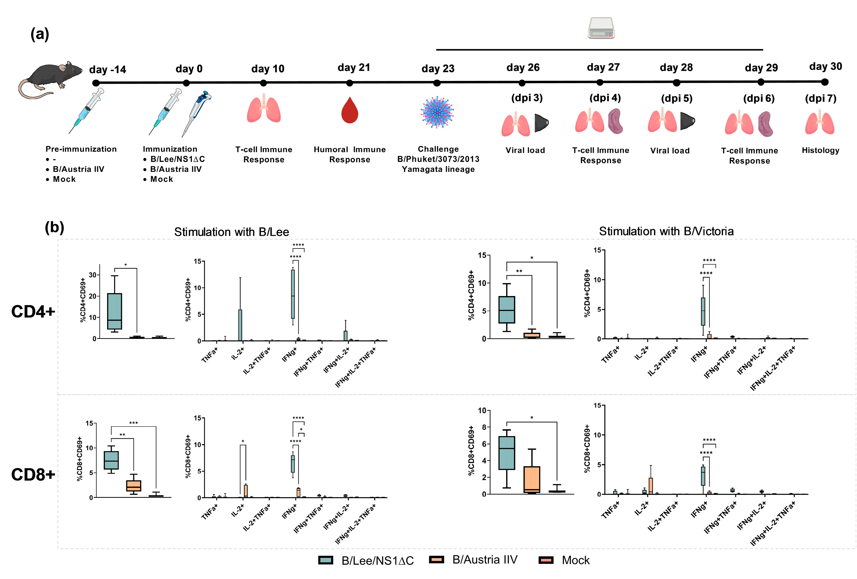 Preprints 189257 g002