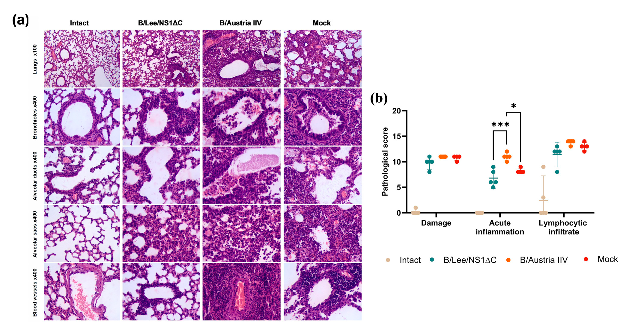 Preprints 189257 g007