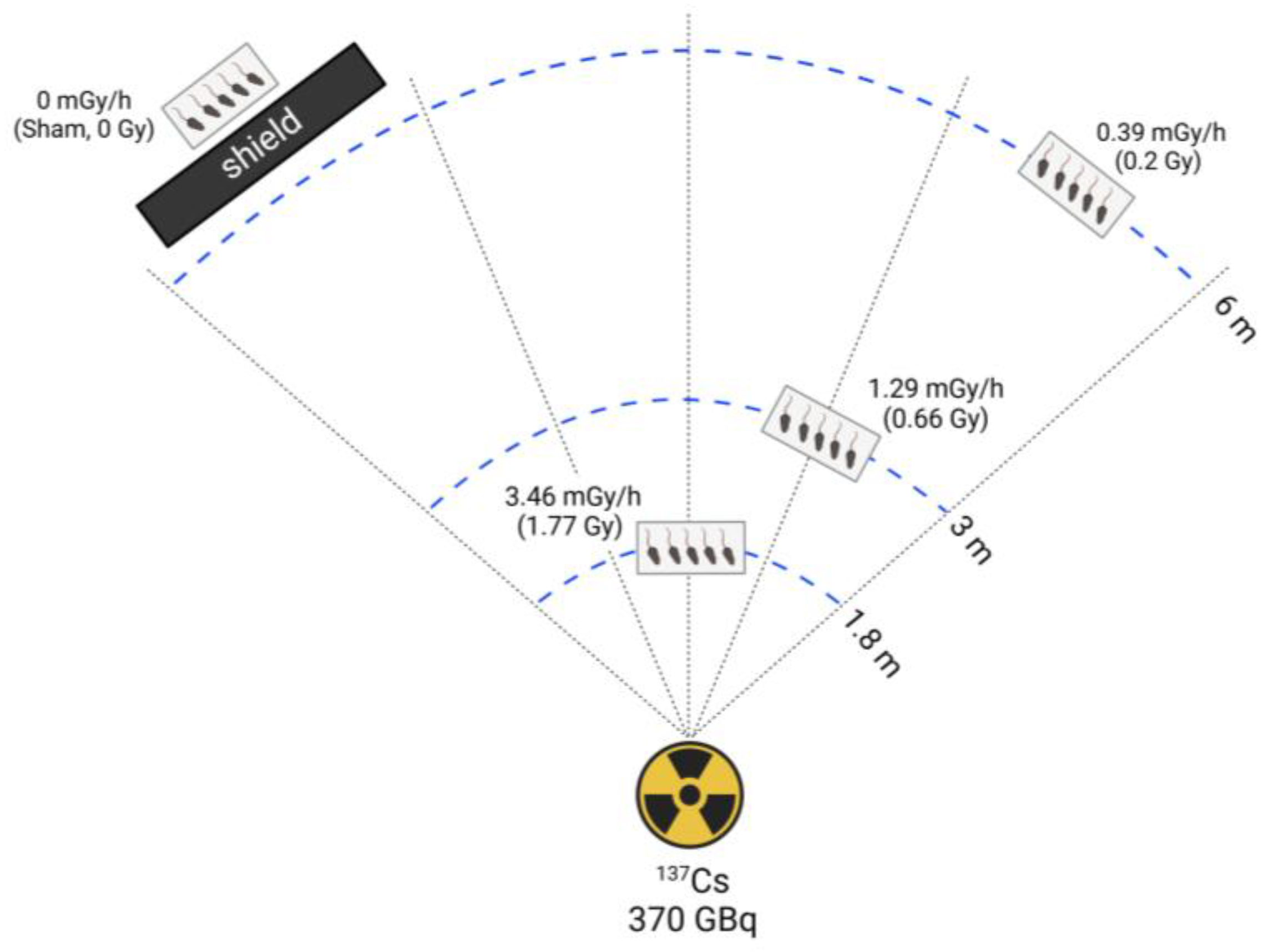 Preprints 164495 g001
