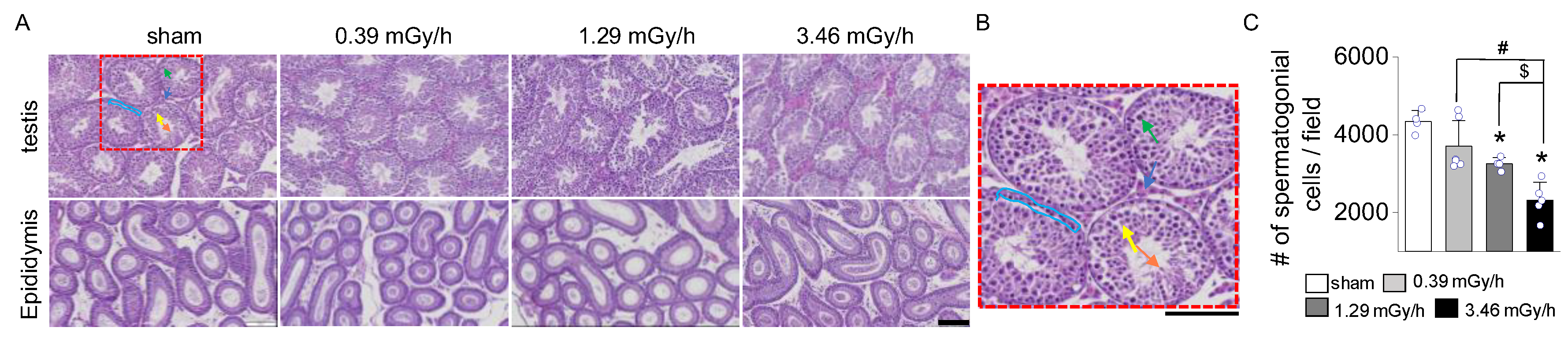 Preprints 164495 g003