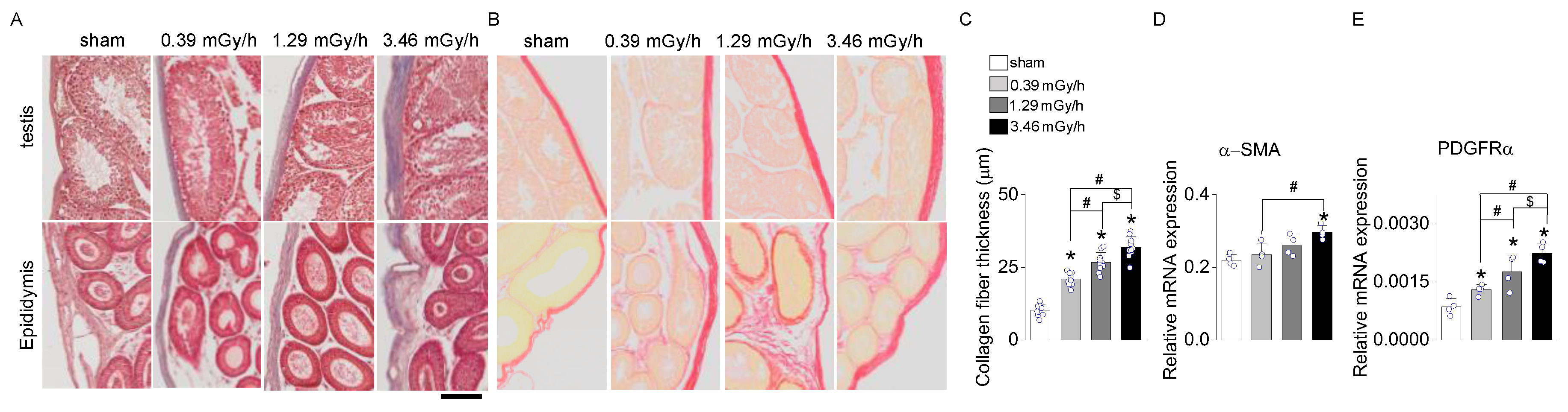 Preprints 164495 g004