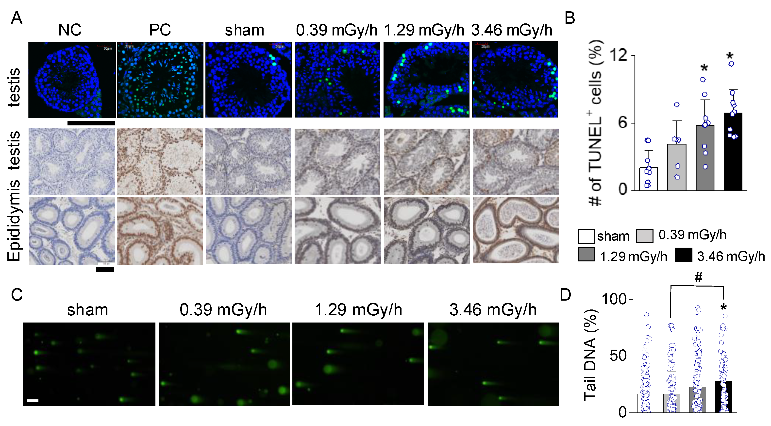 Preprints 164495 g005
