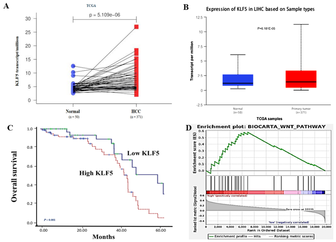 Preprints 230375 g001a Preprints 230375 g001a