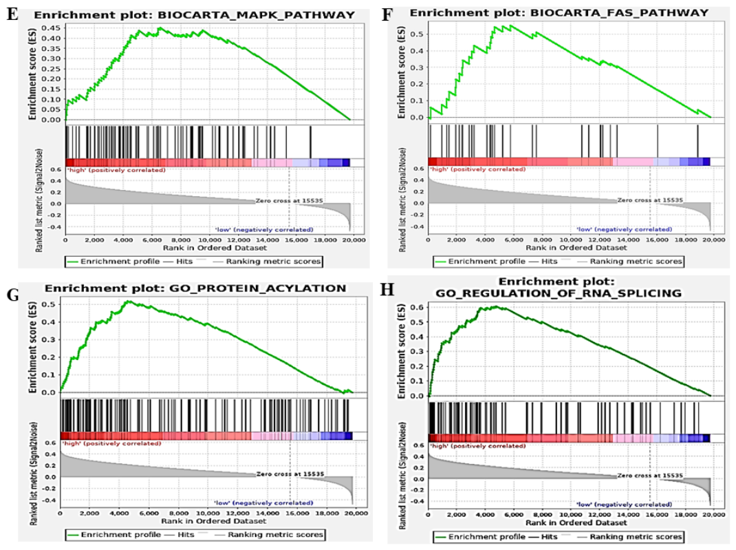 Preprints 230375 g001b