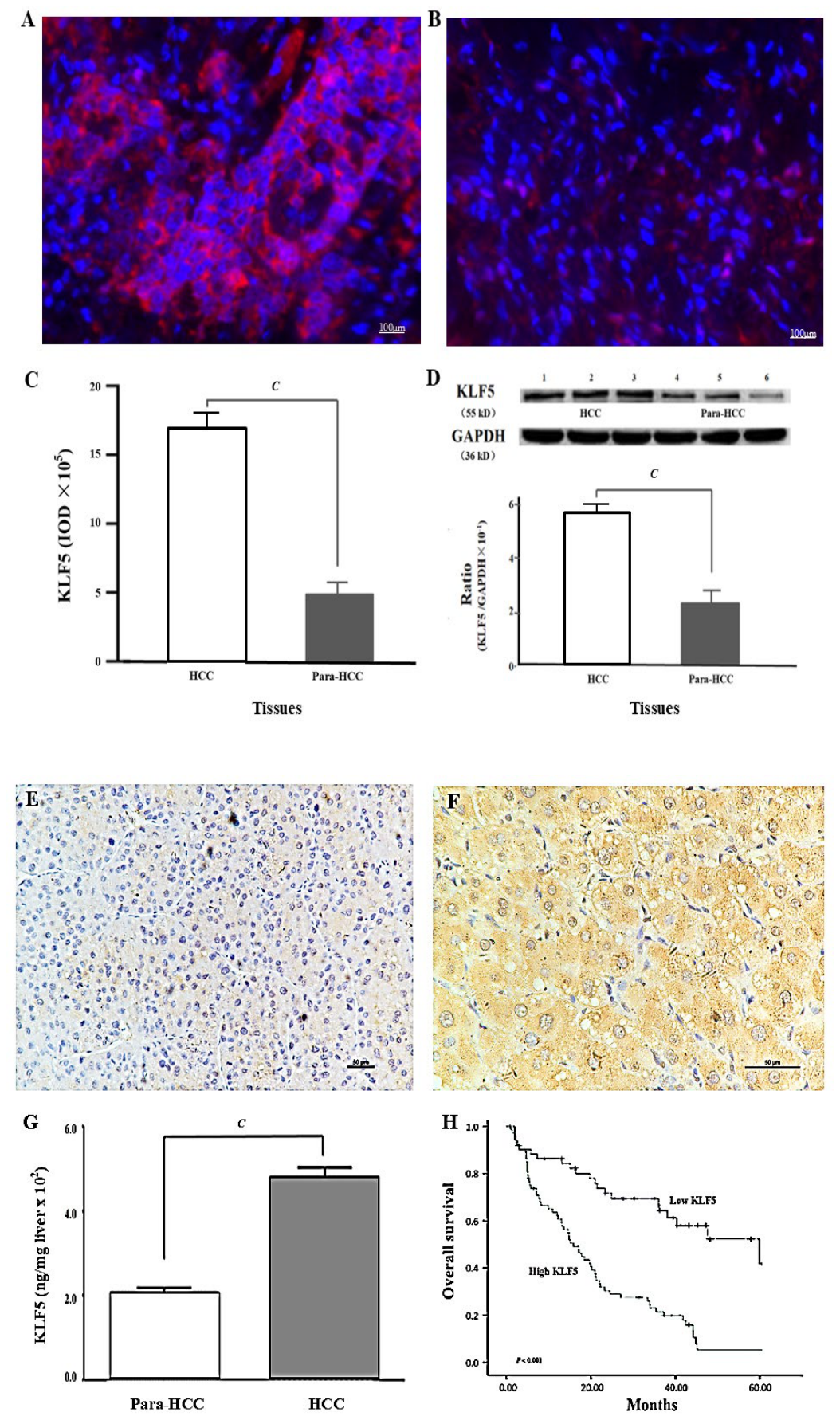 Preprints 230375 g002 Preprints 230375 g002