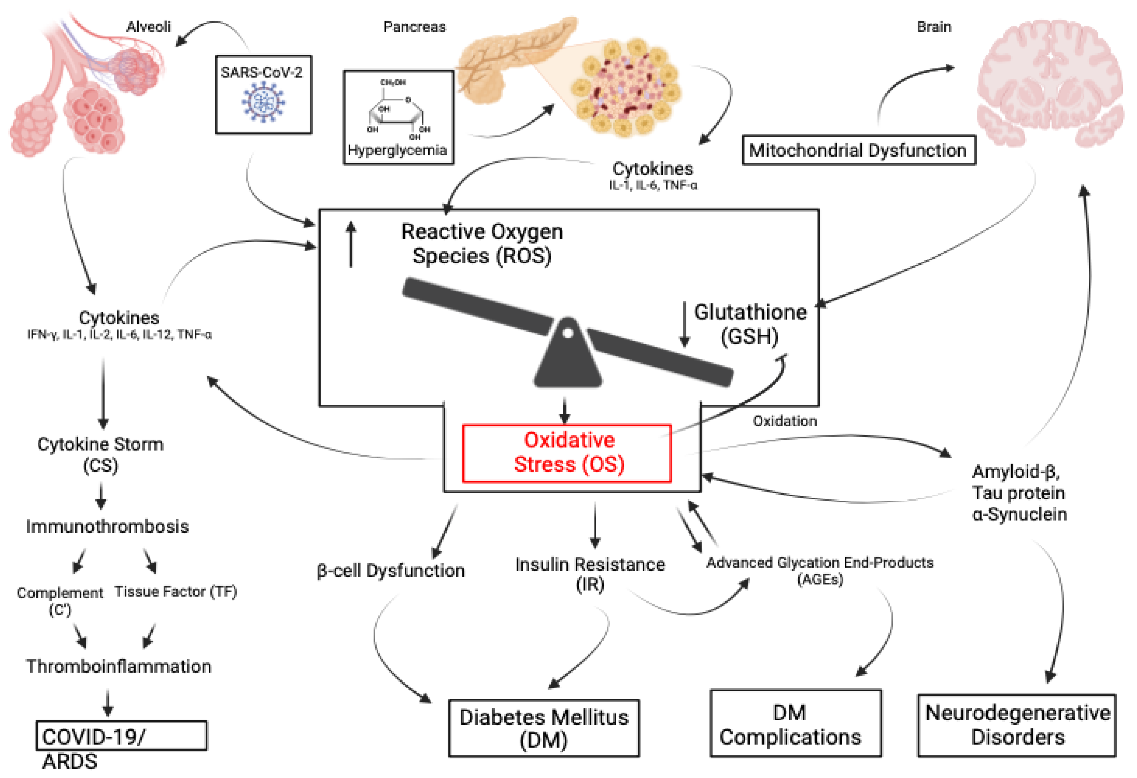Preprints 110369 g003