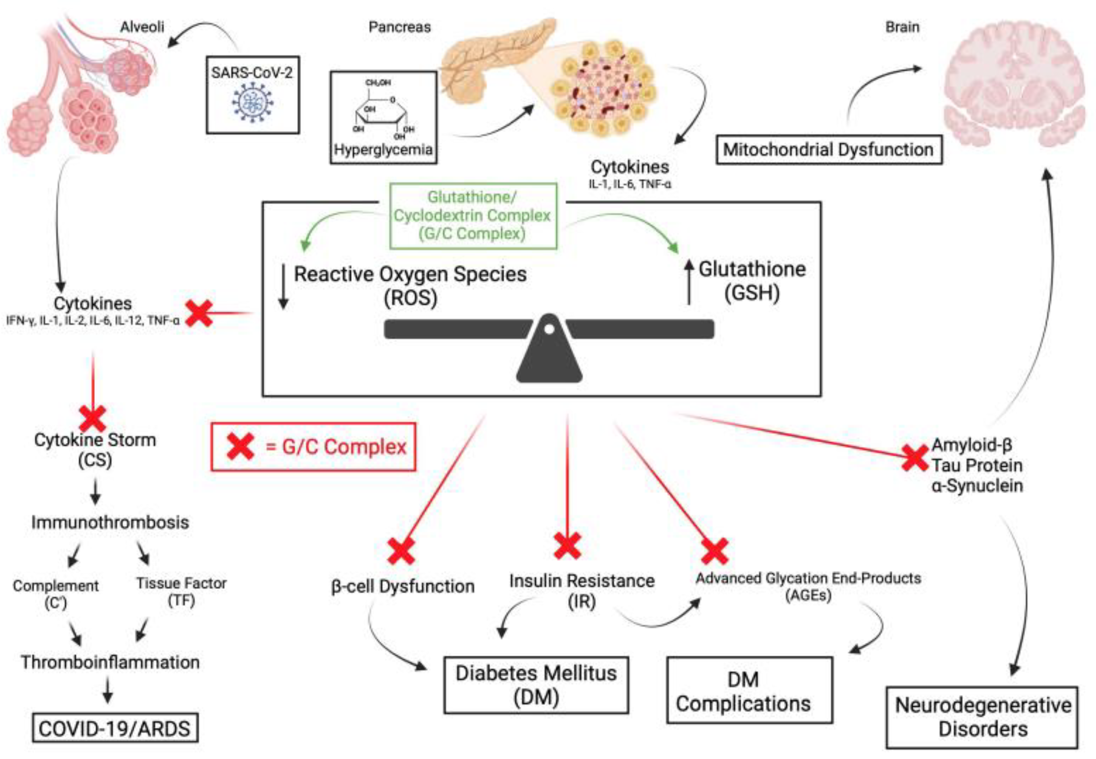 Preprints 110369 g004