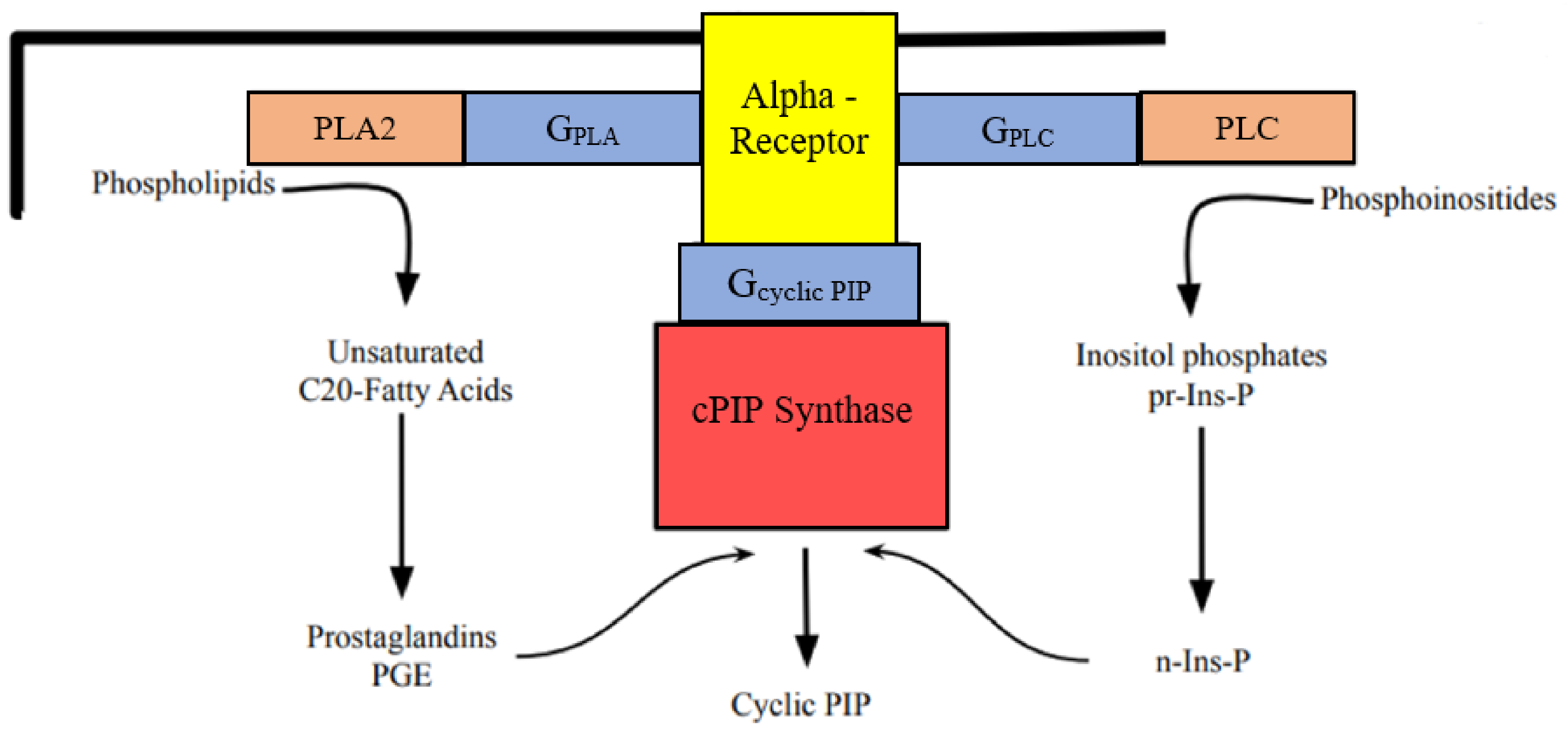 Preprints 140961 g001