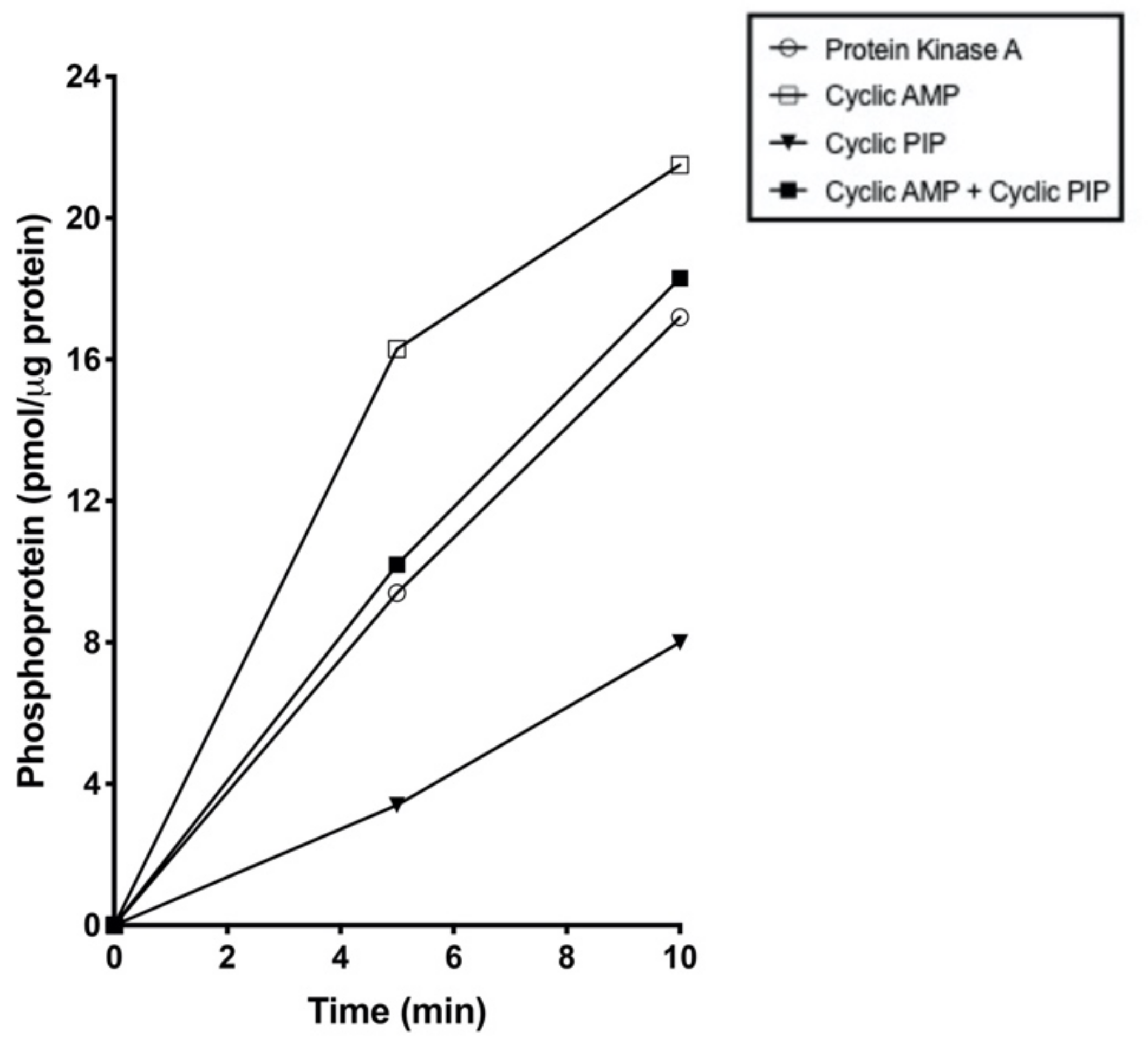 Preprints 140961 g003