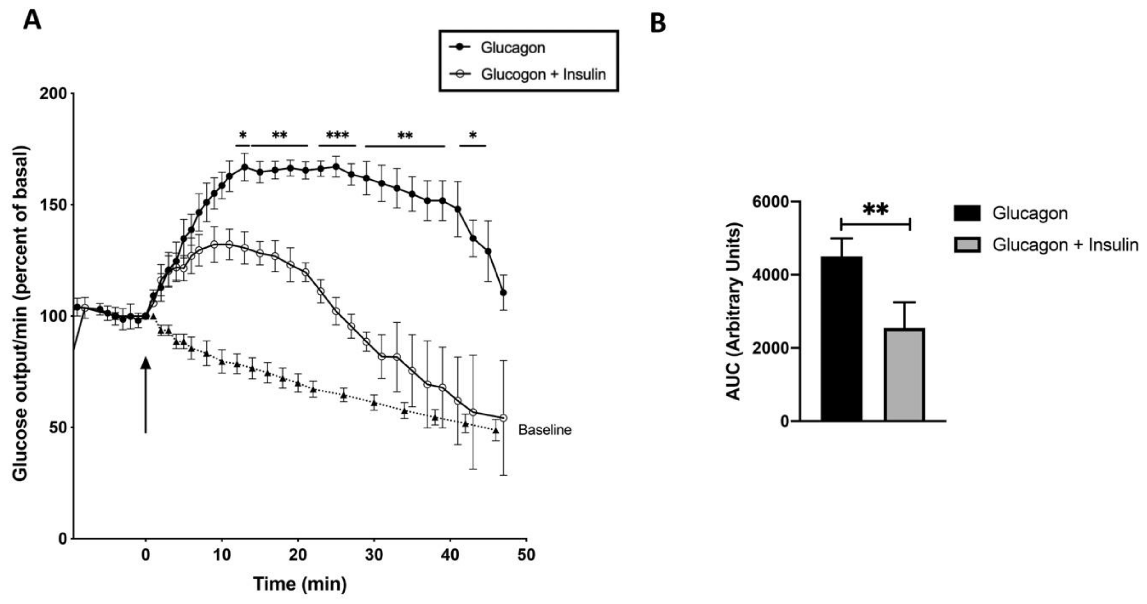 Preprints 140961 g004