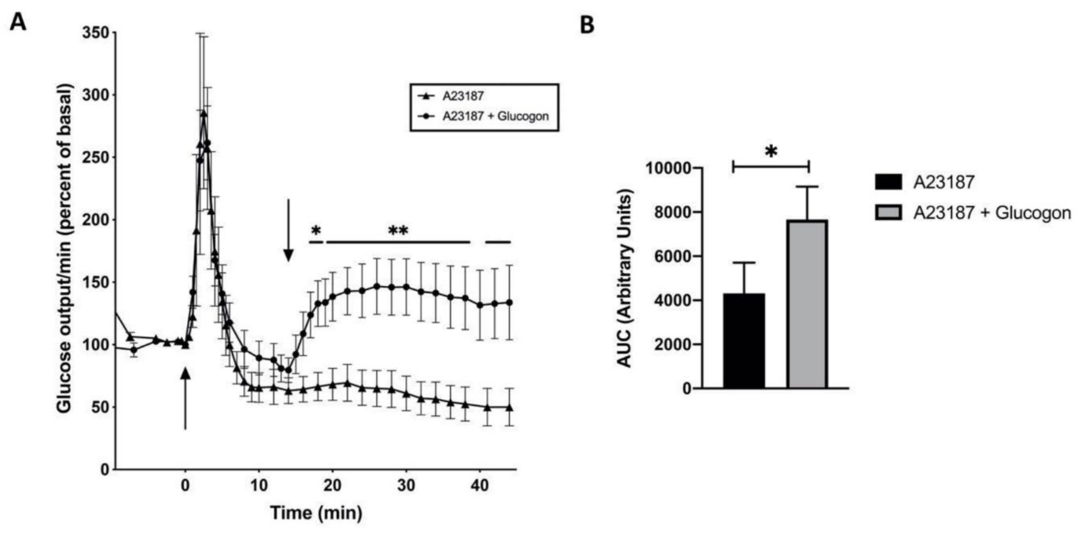 Preprints 140961 g006
