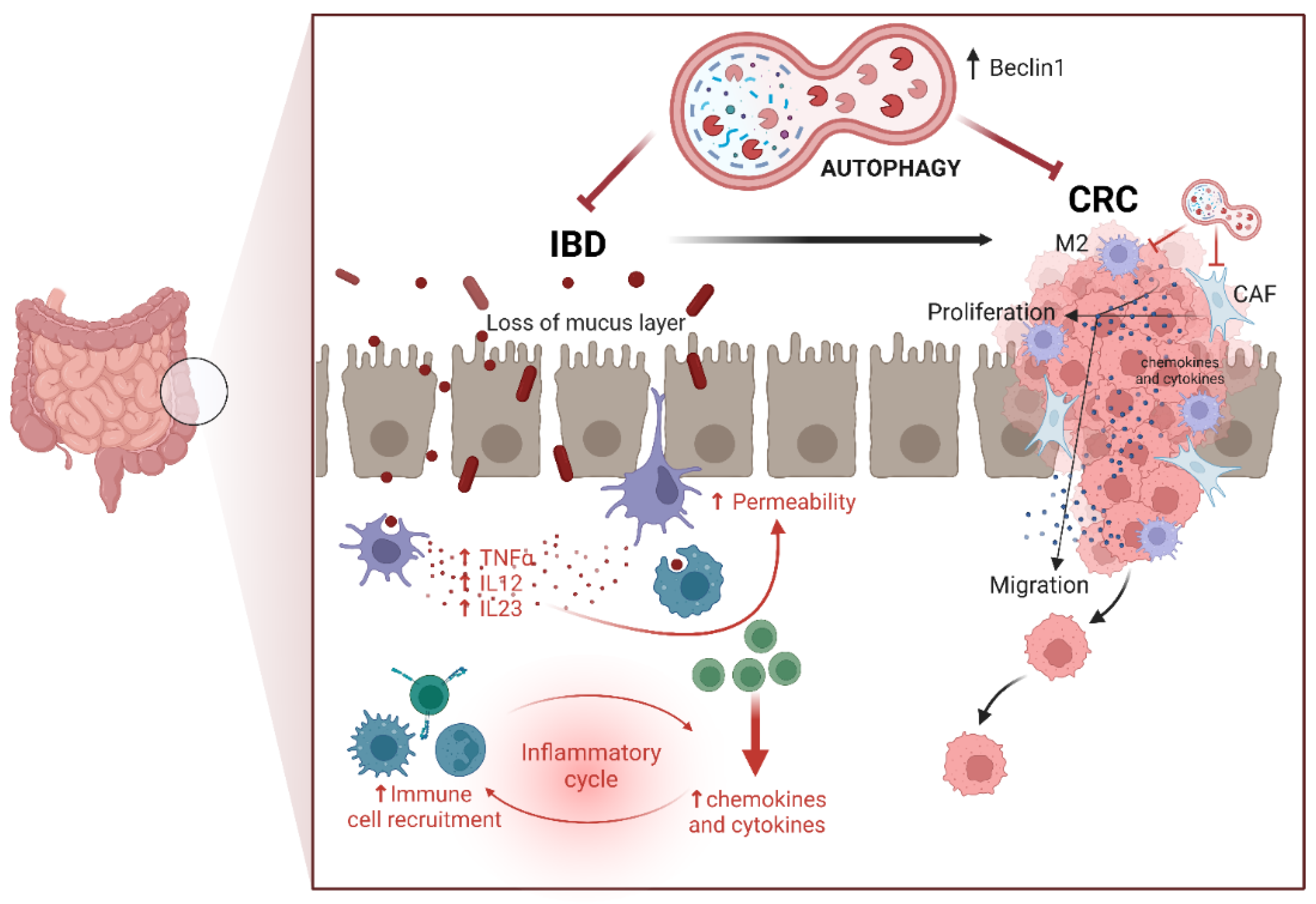 Preprints 158228 g001