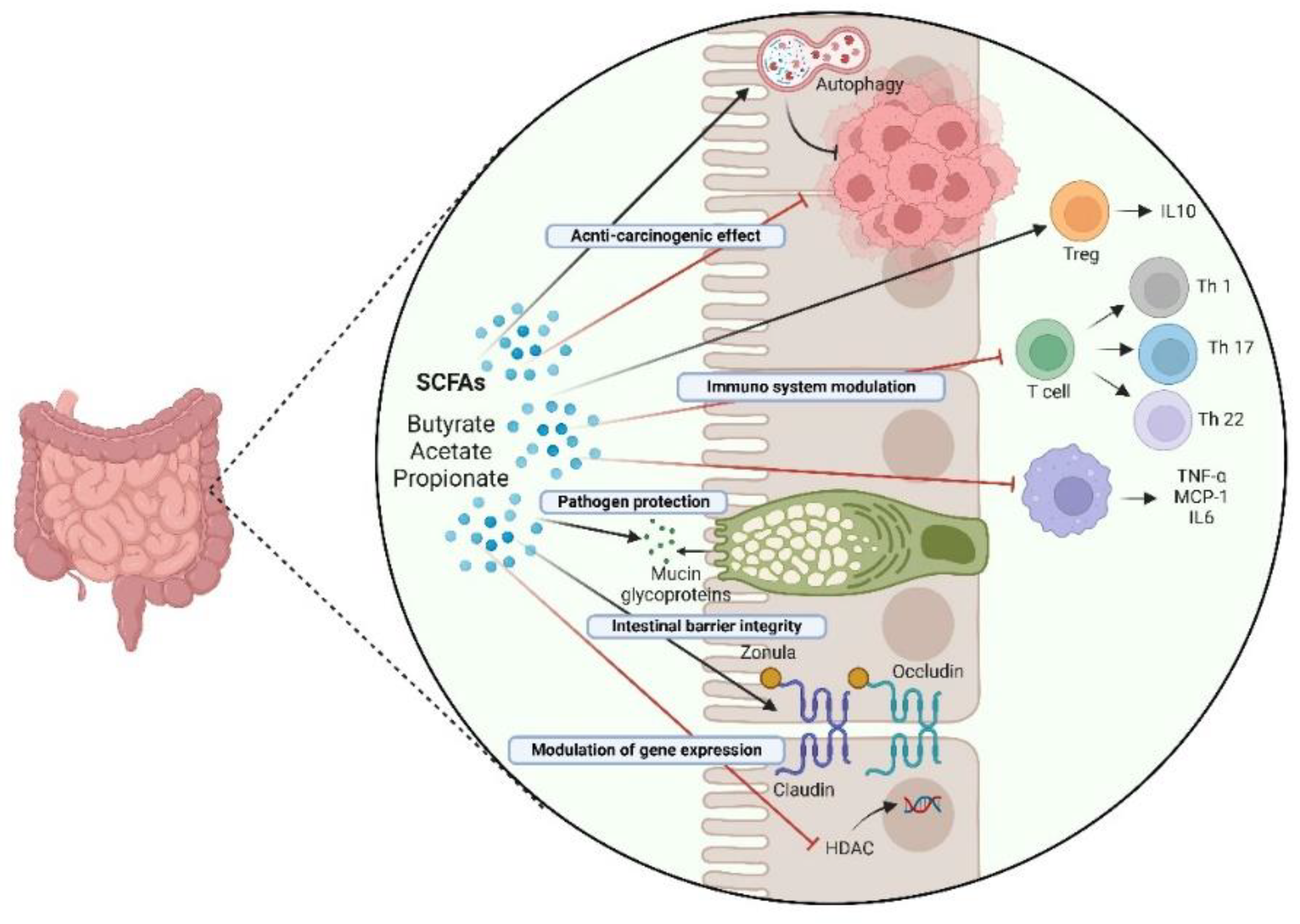 Preprints 158228 g003