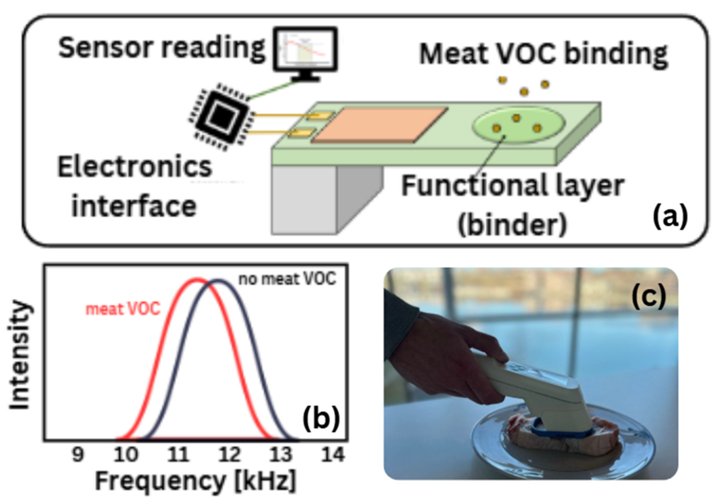 Preprints 208097 g001