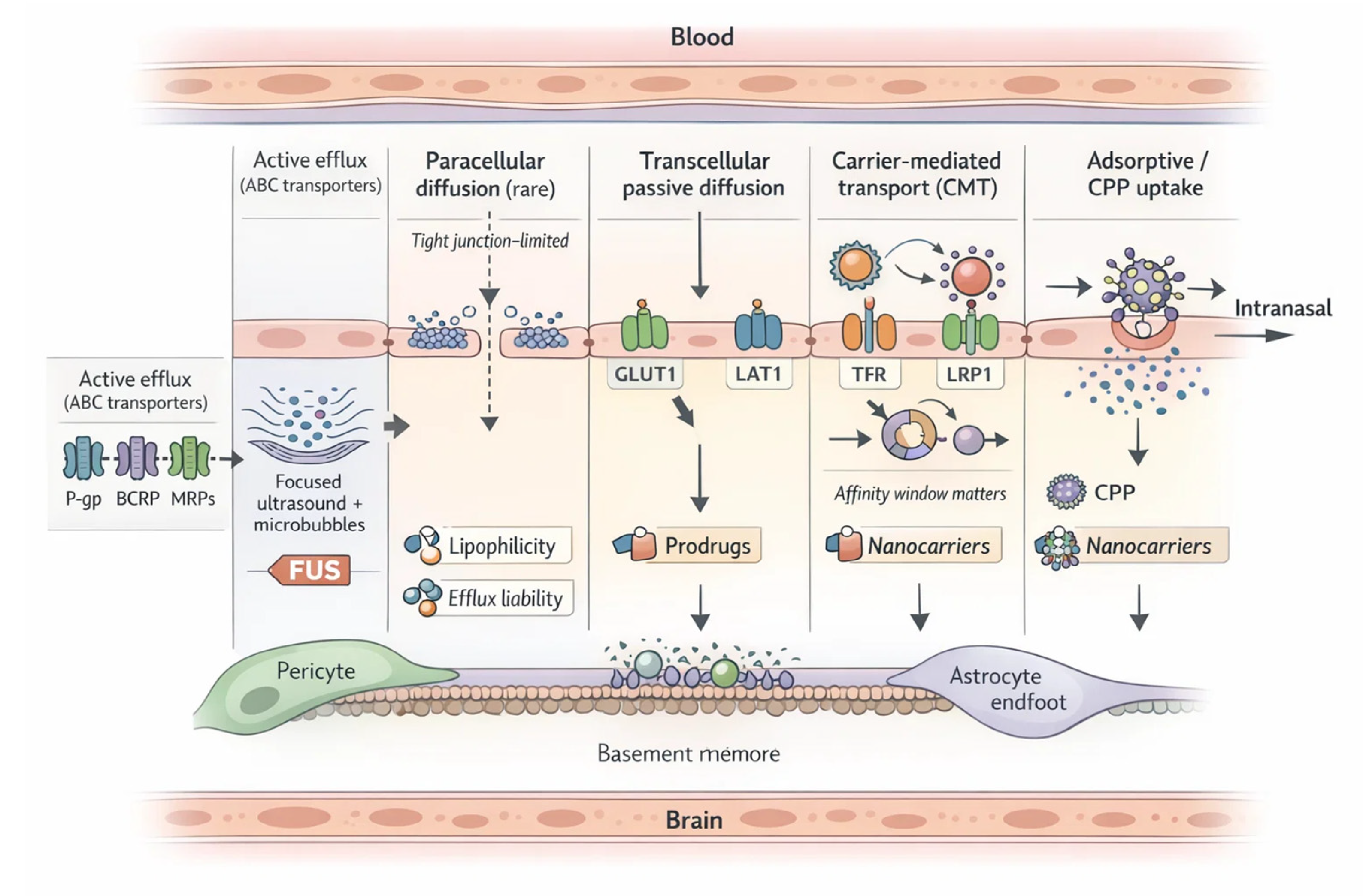 Preprints 200039 g001