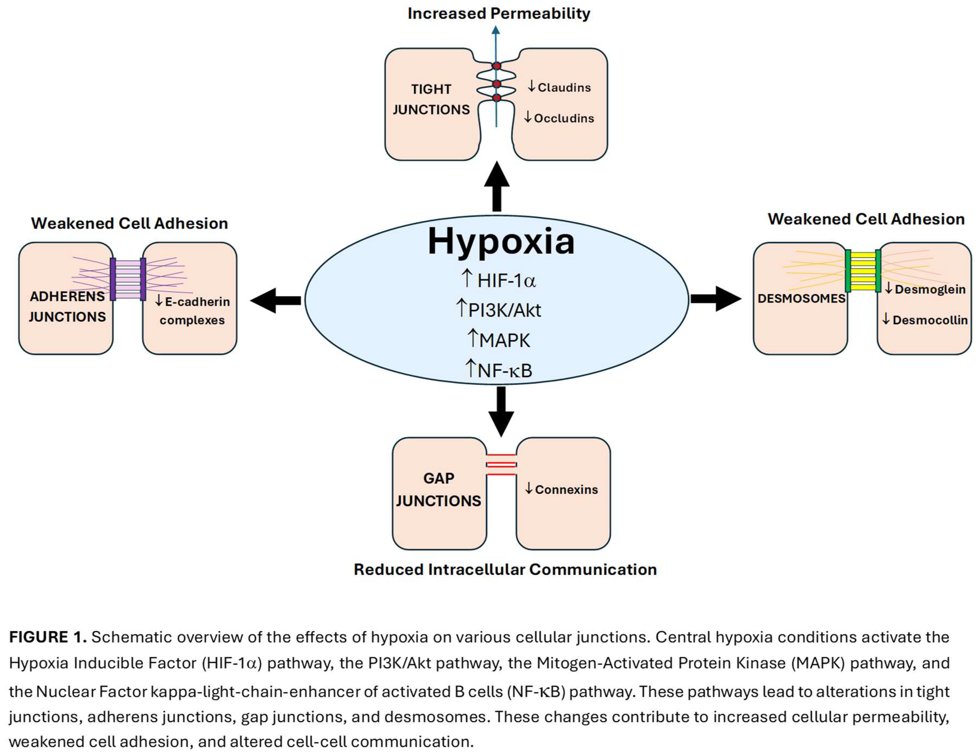 Preprints 158288 g001