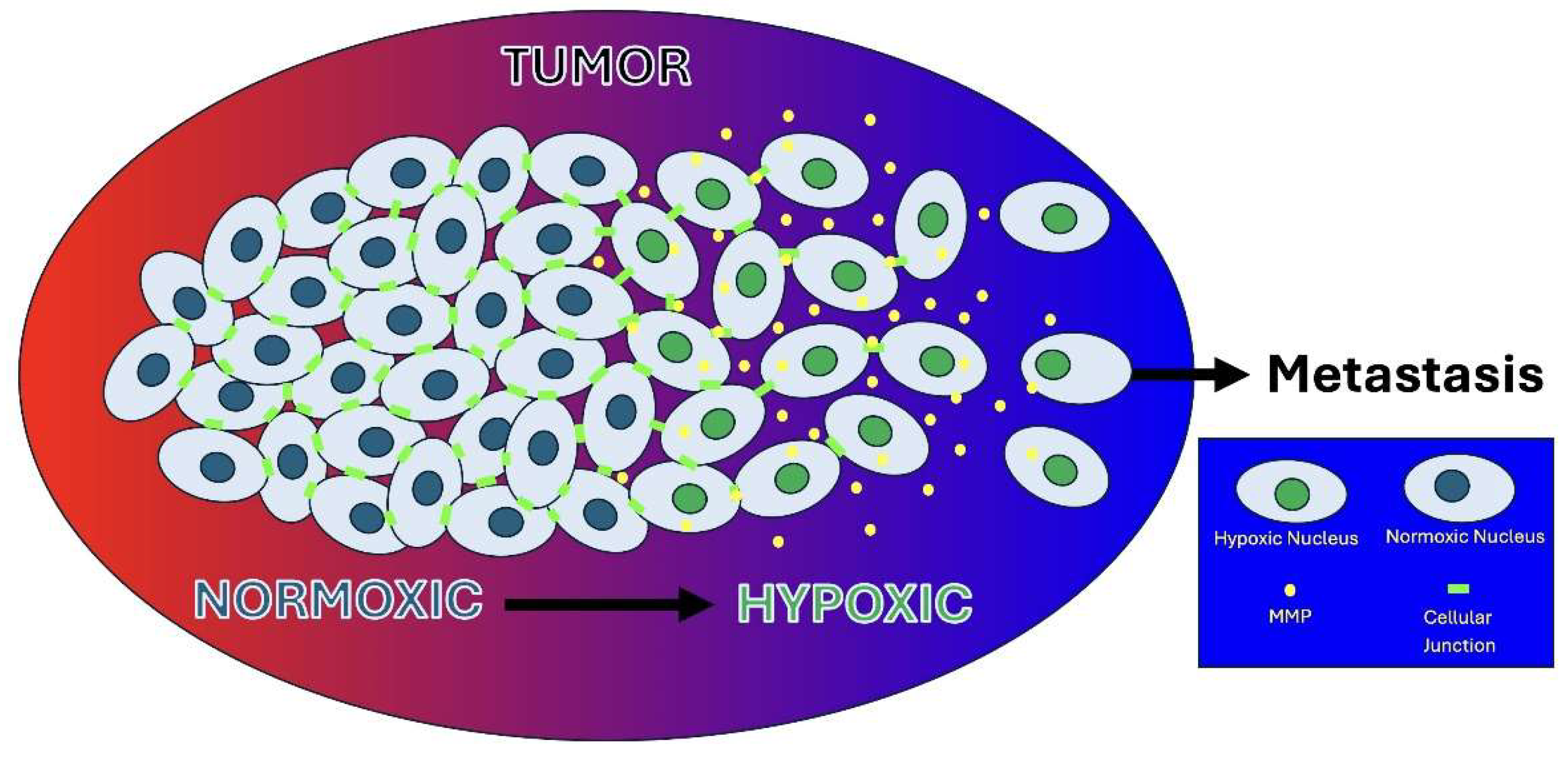 Preprints 158288 g002